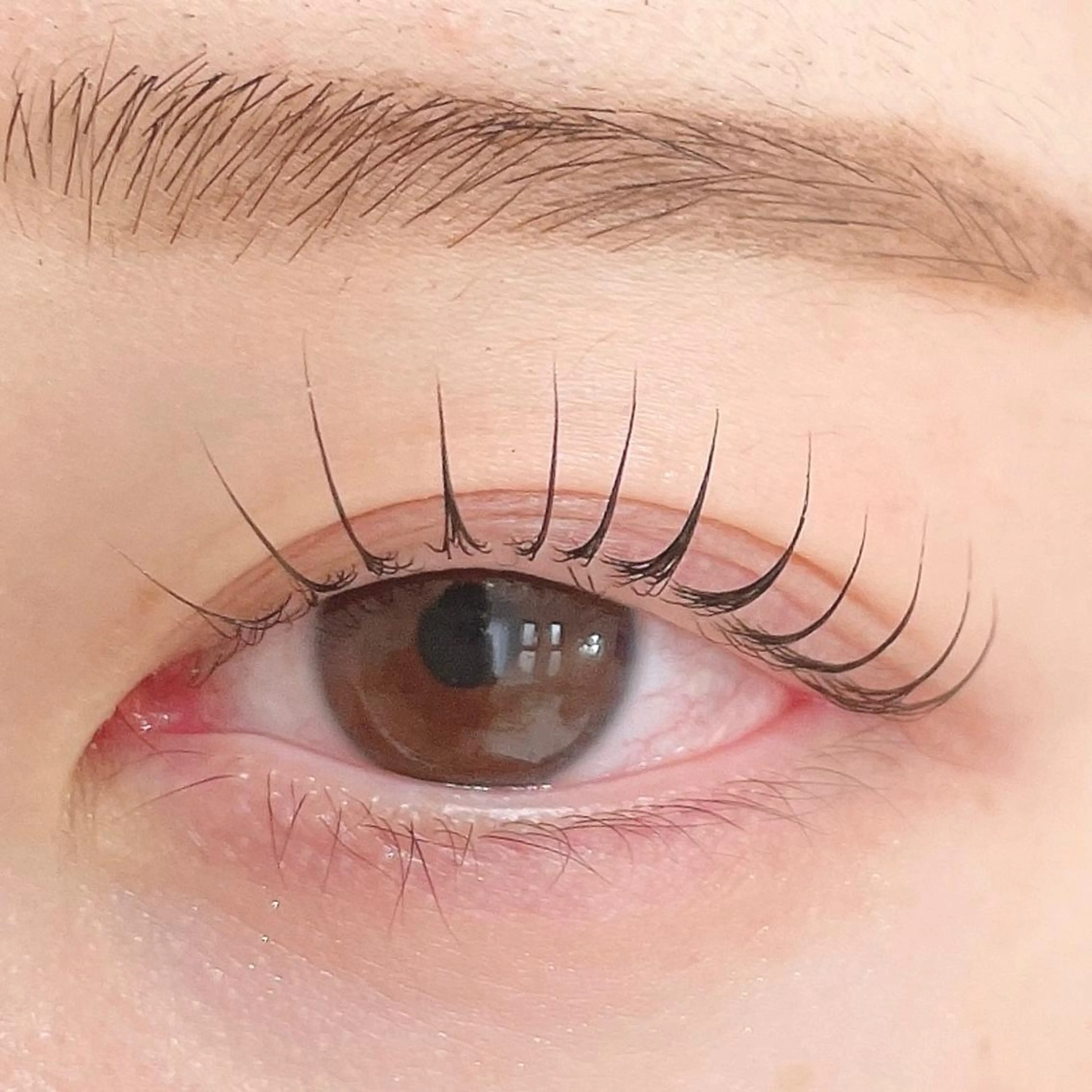 マツエク・マツパ ant_u🌷 arisaのマツエク・マツパデザイン