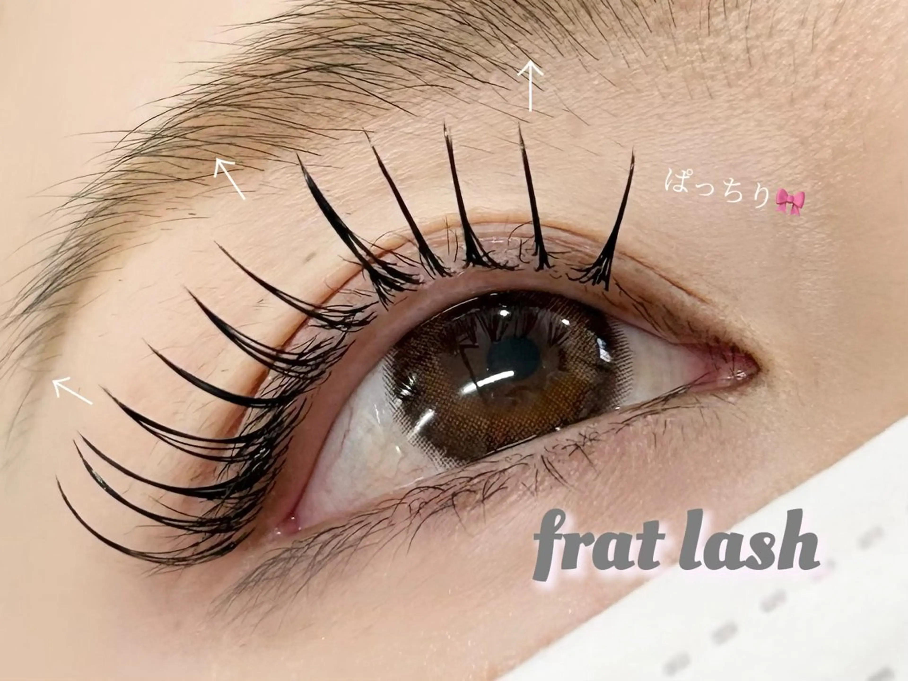 マツエク・マツパ Lucia 博多店［江里口］のマツエク・マツパデザイン