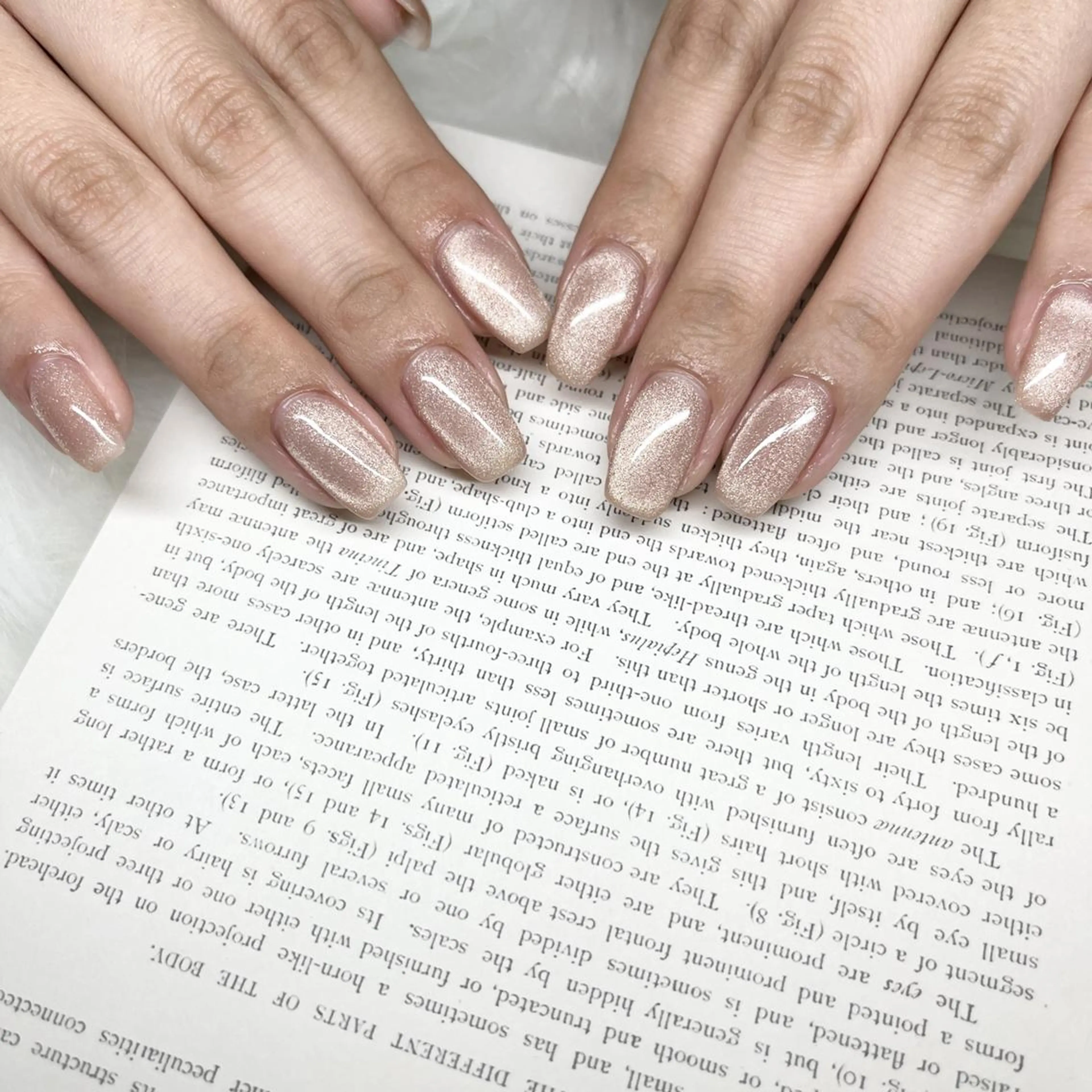 ネイル lovit ラビットのネイルデザイン