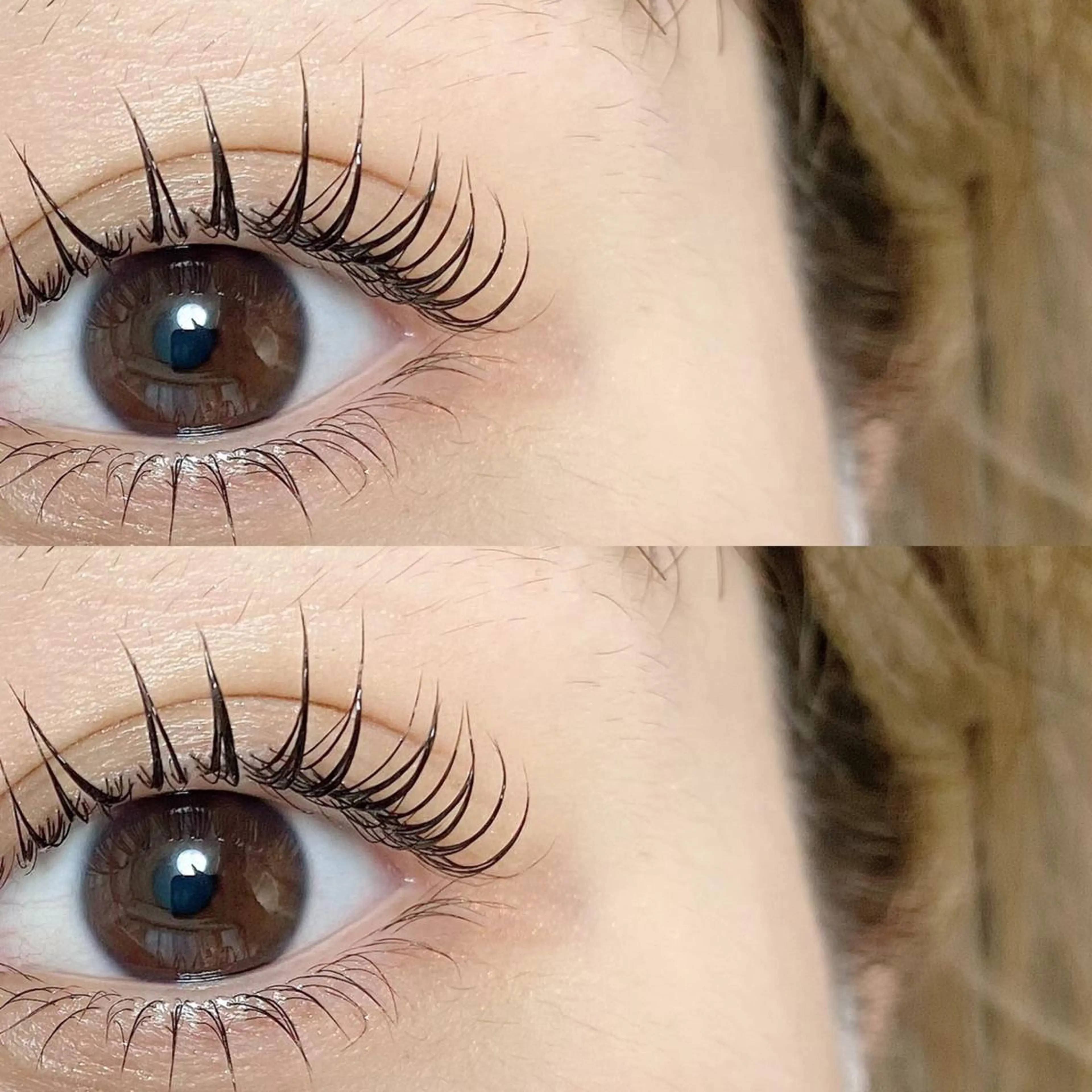 マツエク・マツパ 【那覇/束感まつ毛 /LED】キャメルのマツエク・マツパデザイン