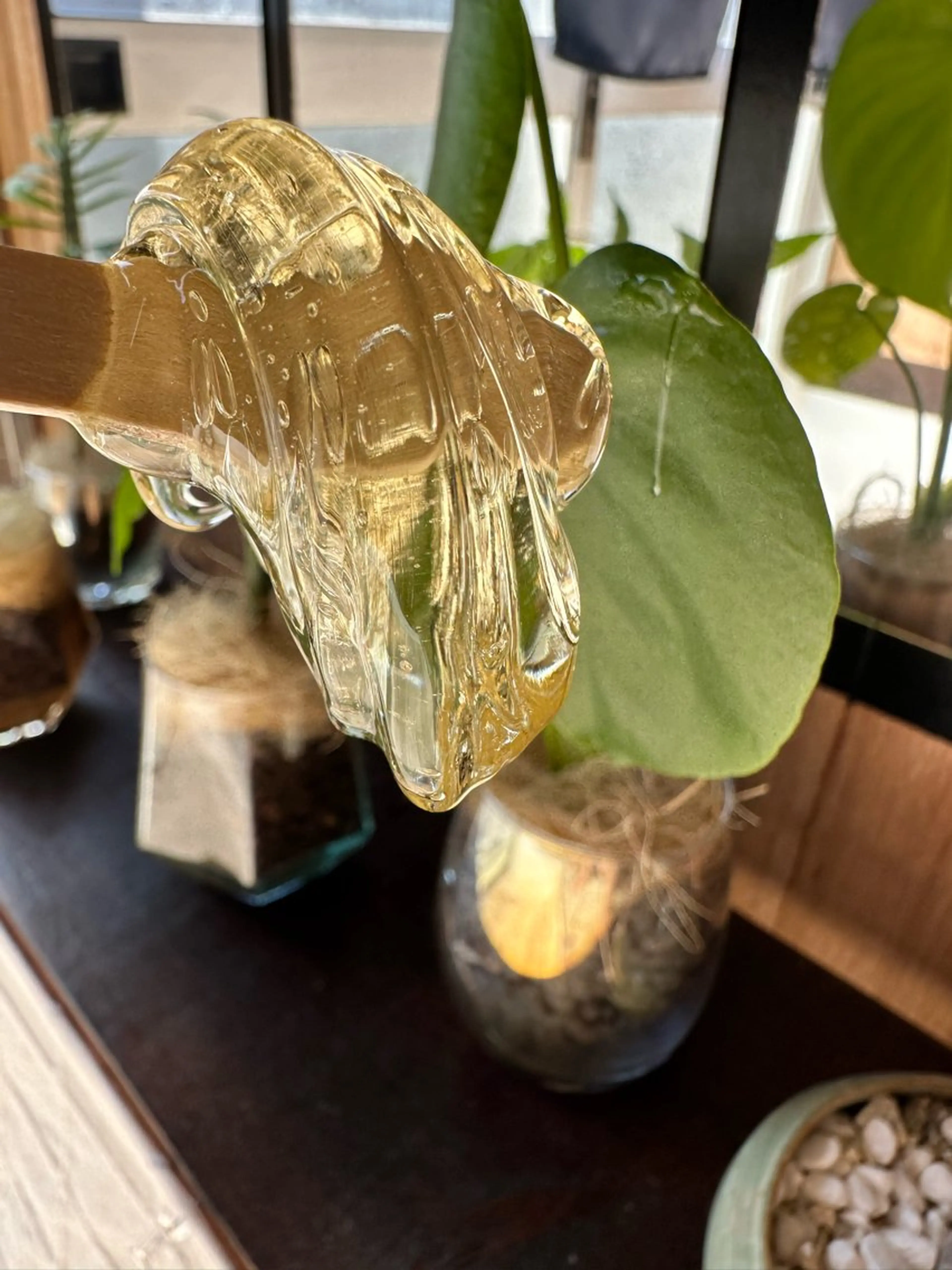 Hitomi シュガーリング豊橋のその他イメージ