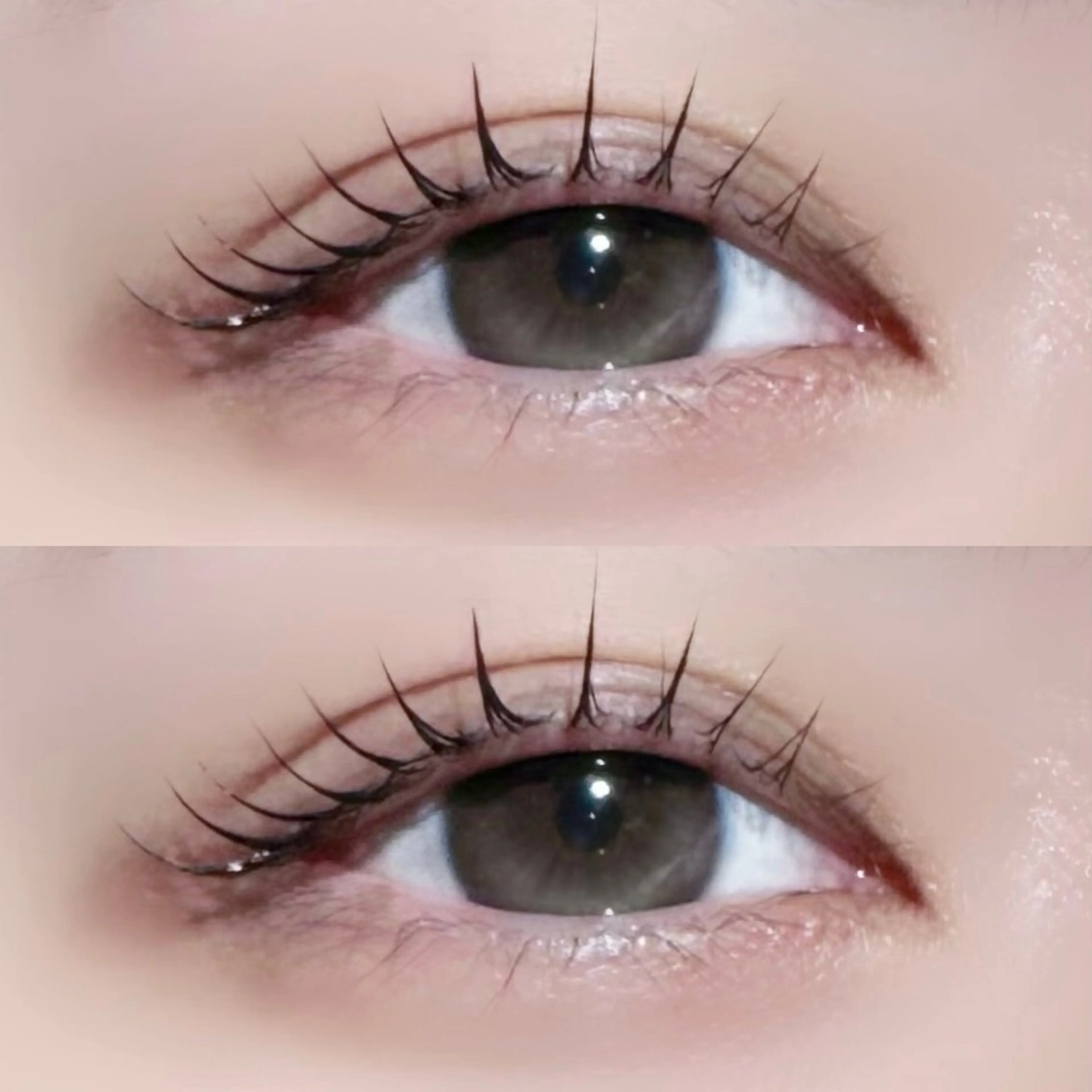 【人気No.1🎀】🫧韓ドル風束感ラッシュリフト(上)美容液仕上げ🫧の写真