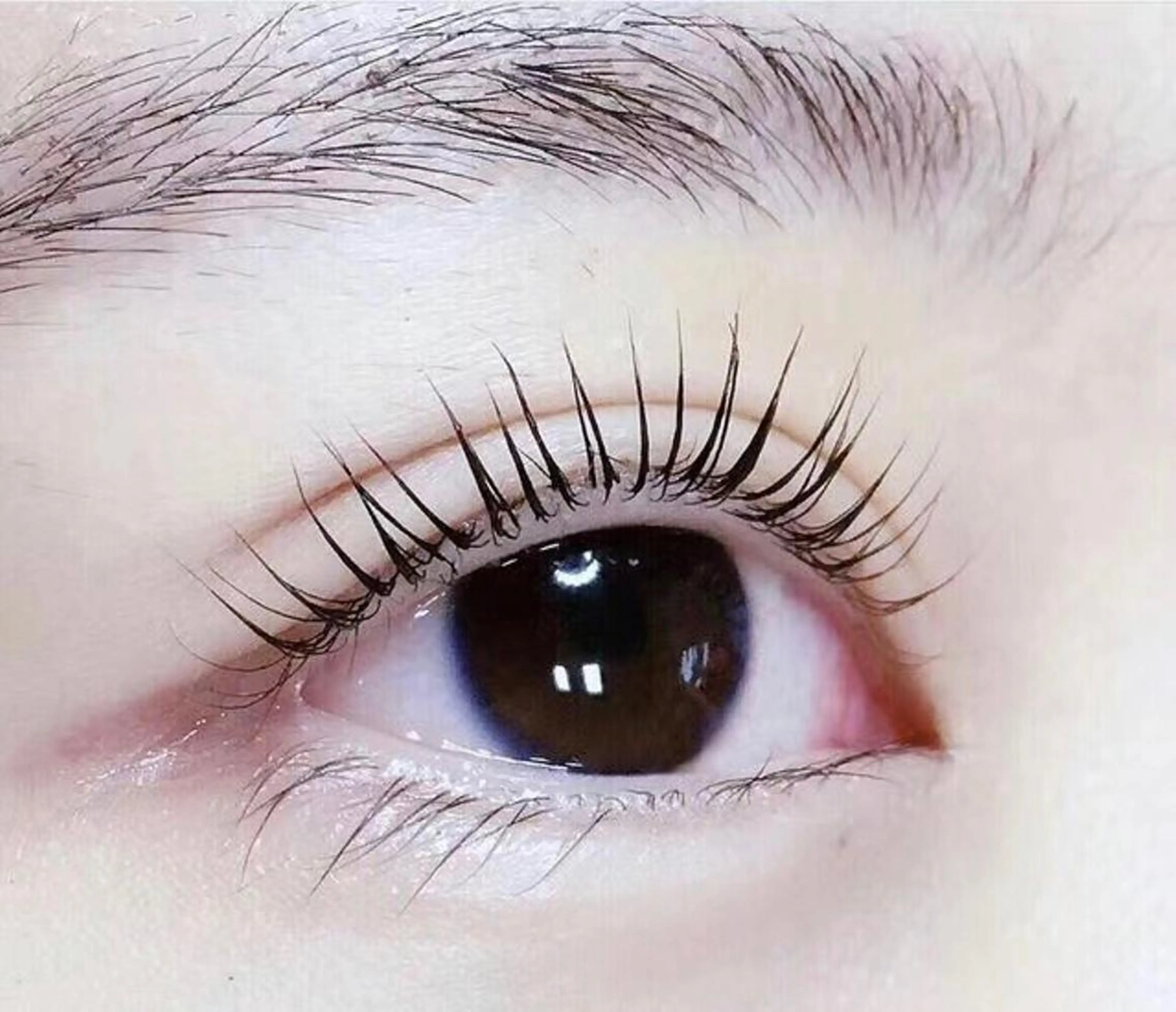 マッパ(上、下)の写真