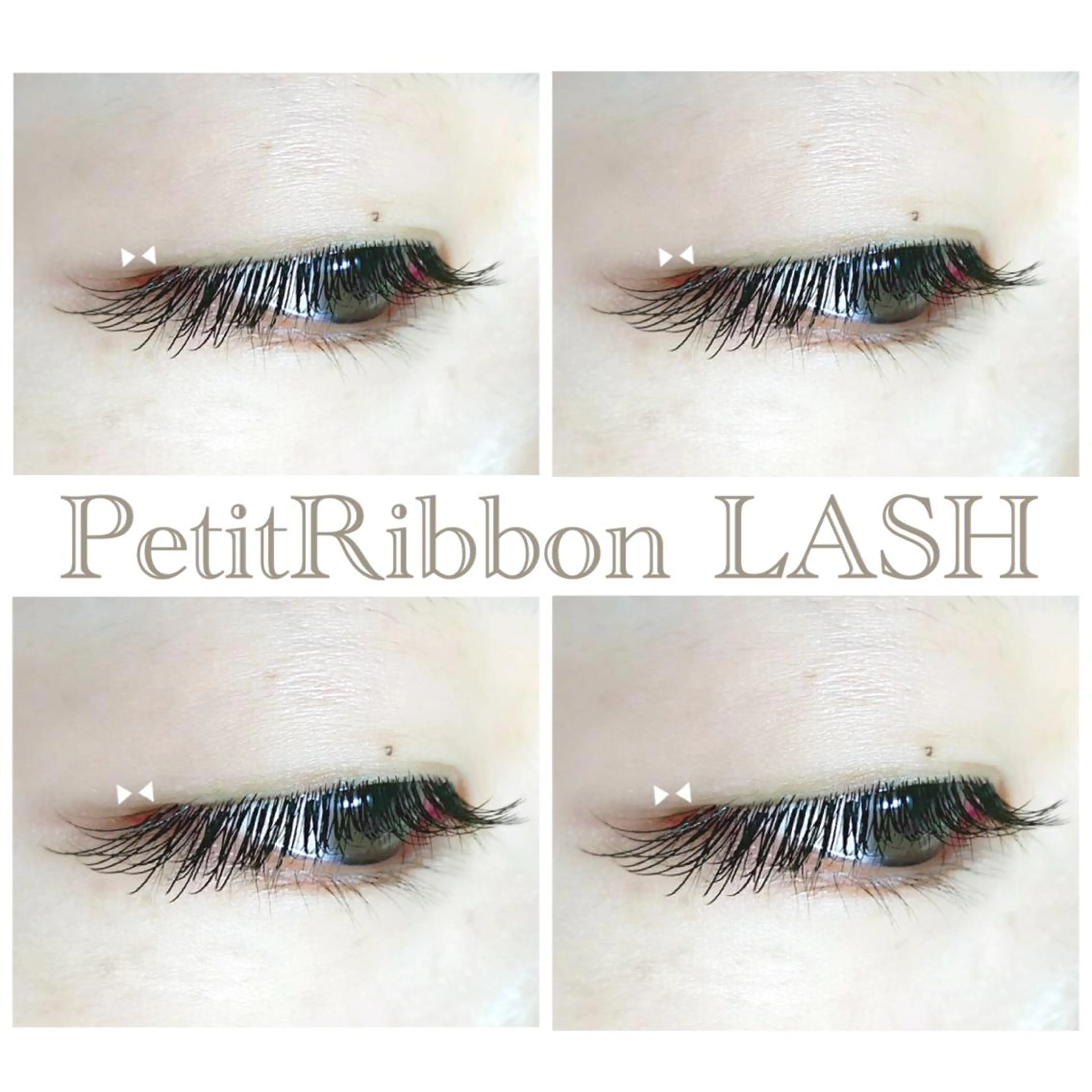 (オフなし)高級セーブル80本の写真