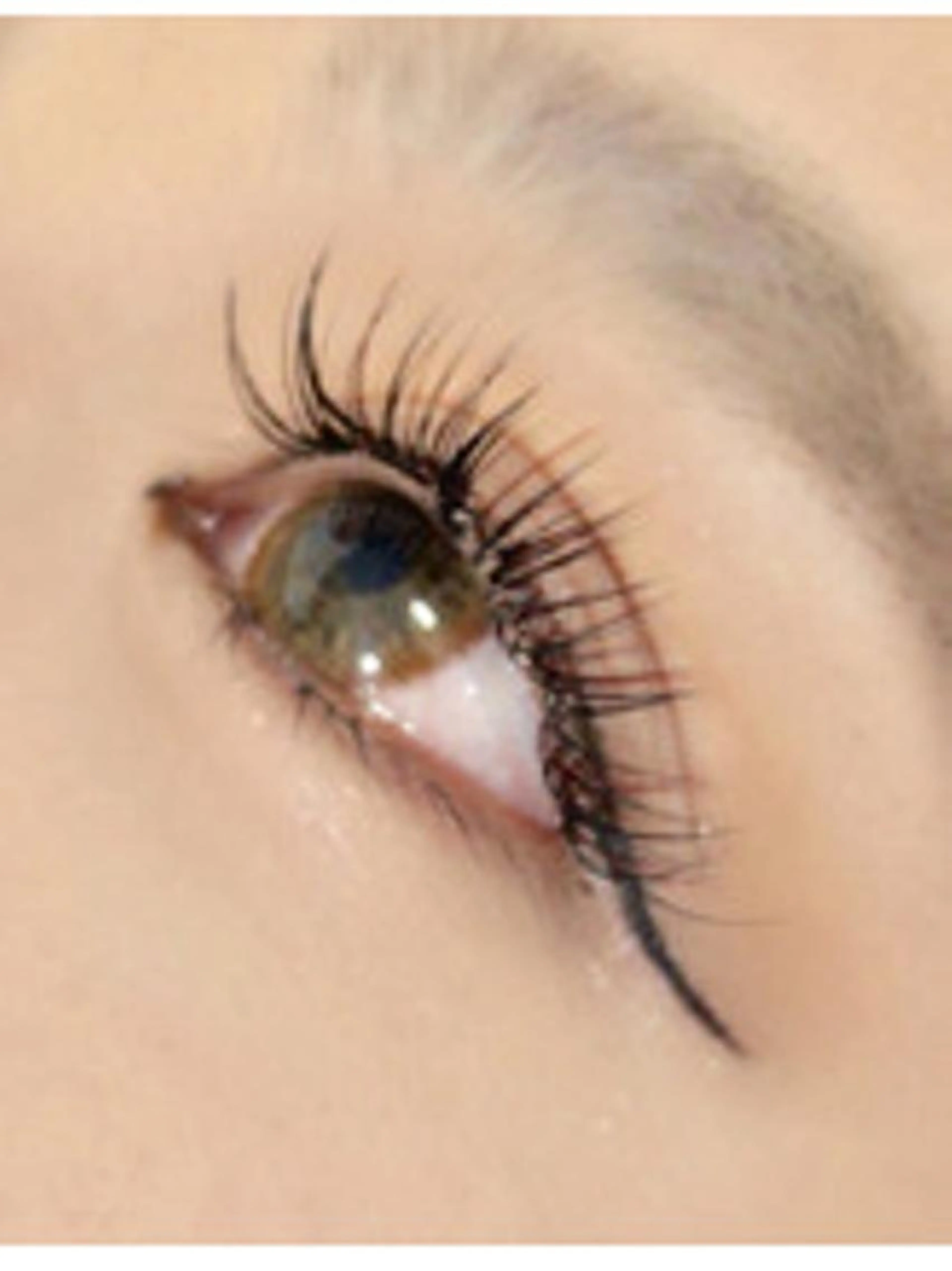 オフ込フラットラッシュ120本の写真