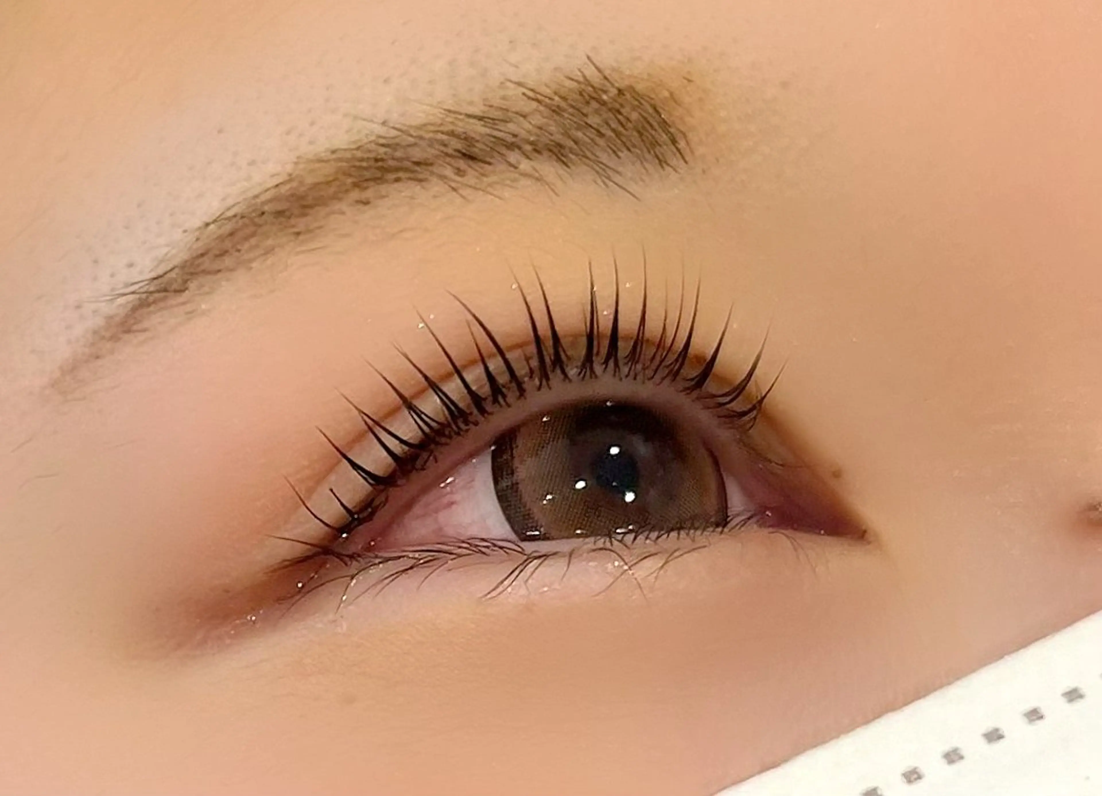 マツエク・マツパ マツパ epill Lenna .🦋のマツエク・マツパデザイン