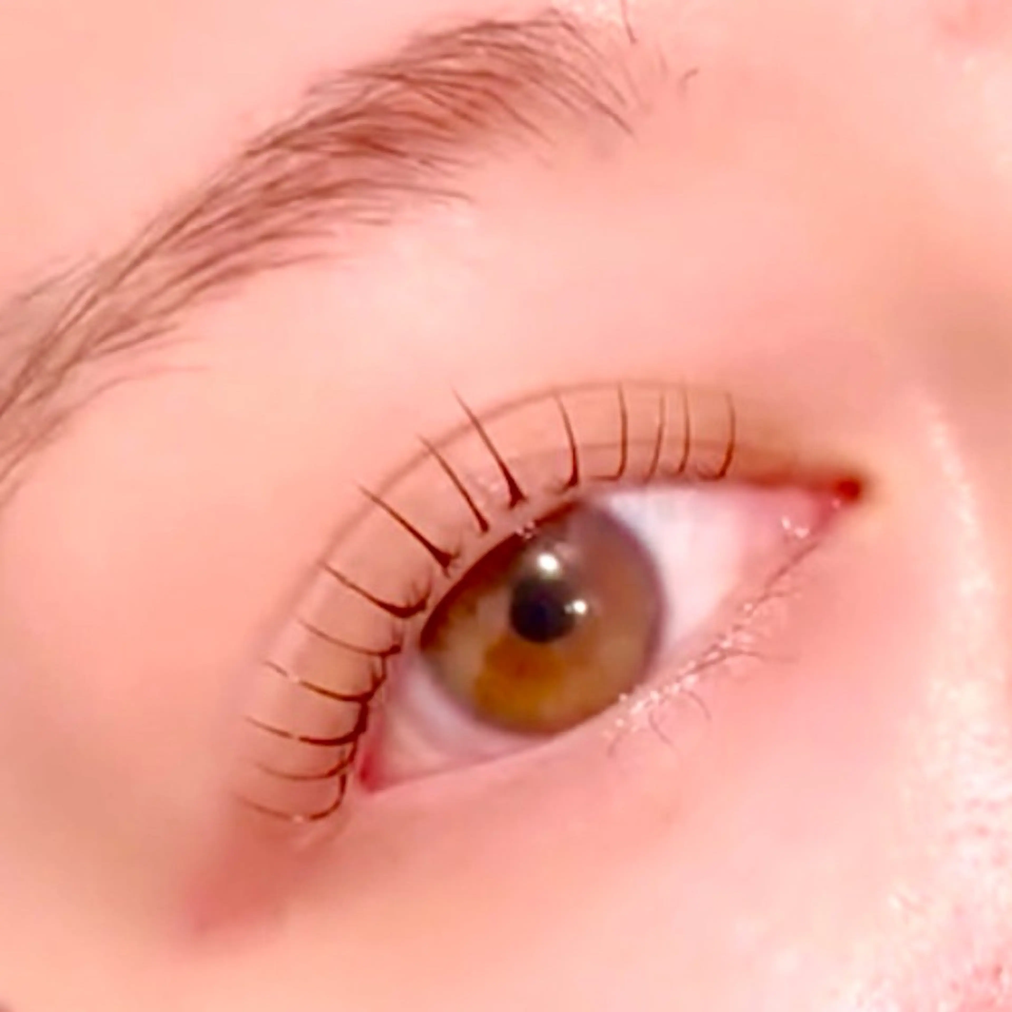 パーマ アイブロウ/HBL 🦄MEMEの眉毛・アイブロウイメージ