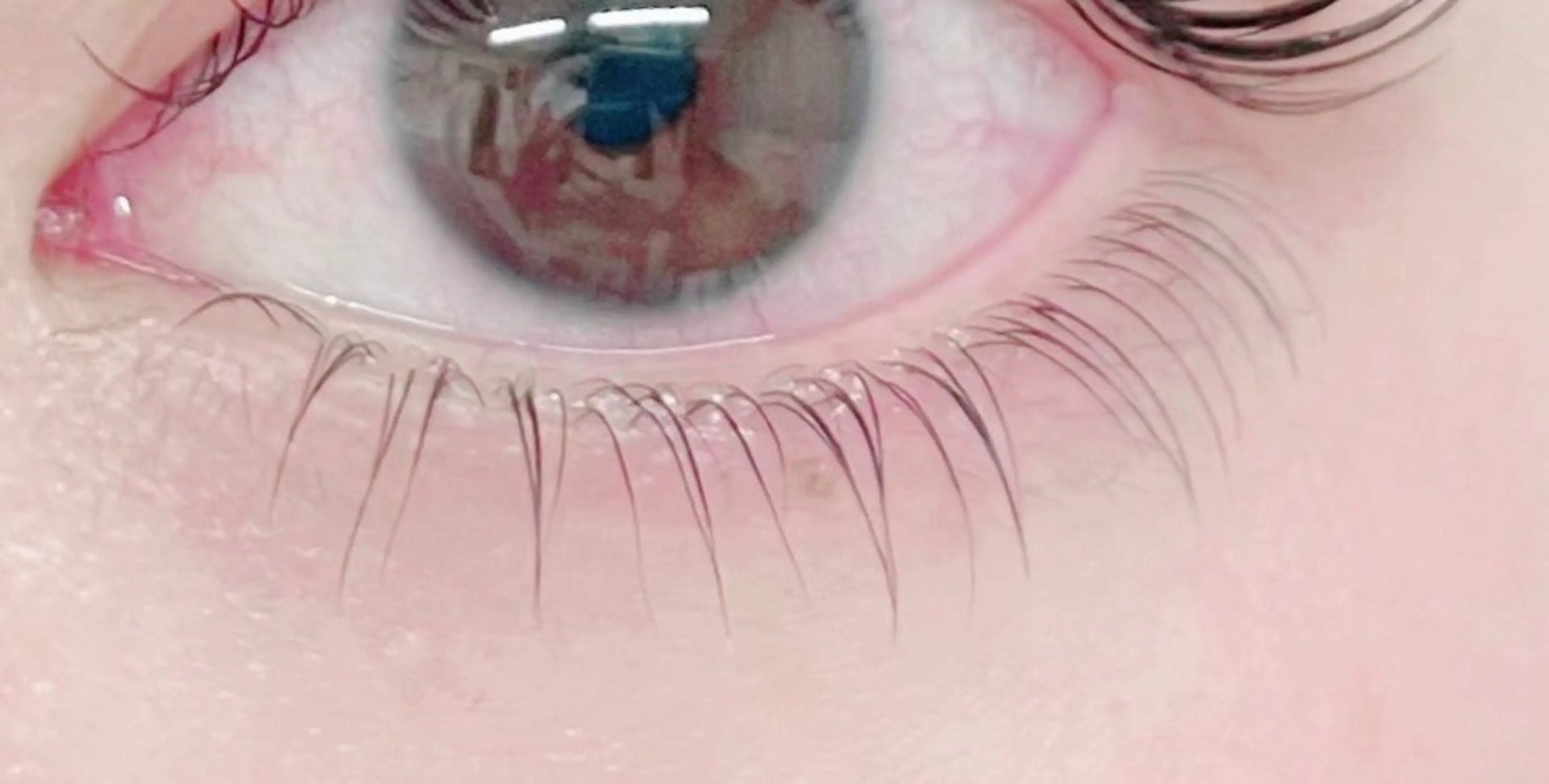 マツエク・マツパ まつげパーマ 下まつげエクステ Kano ☁️🤍のマツエク・マツパデザイン