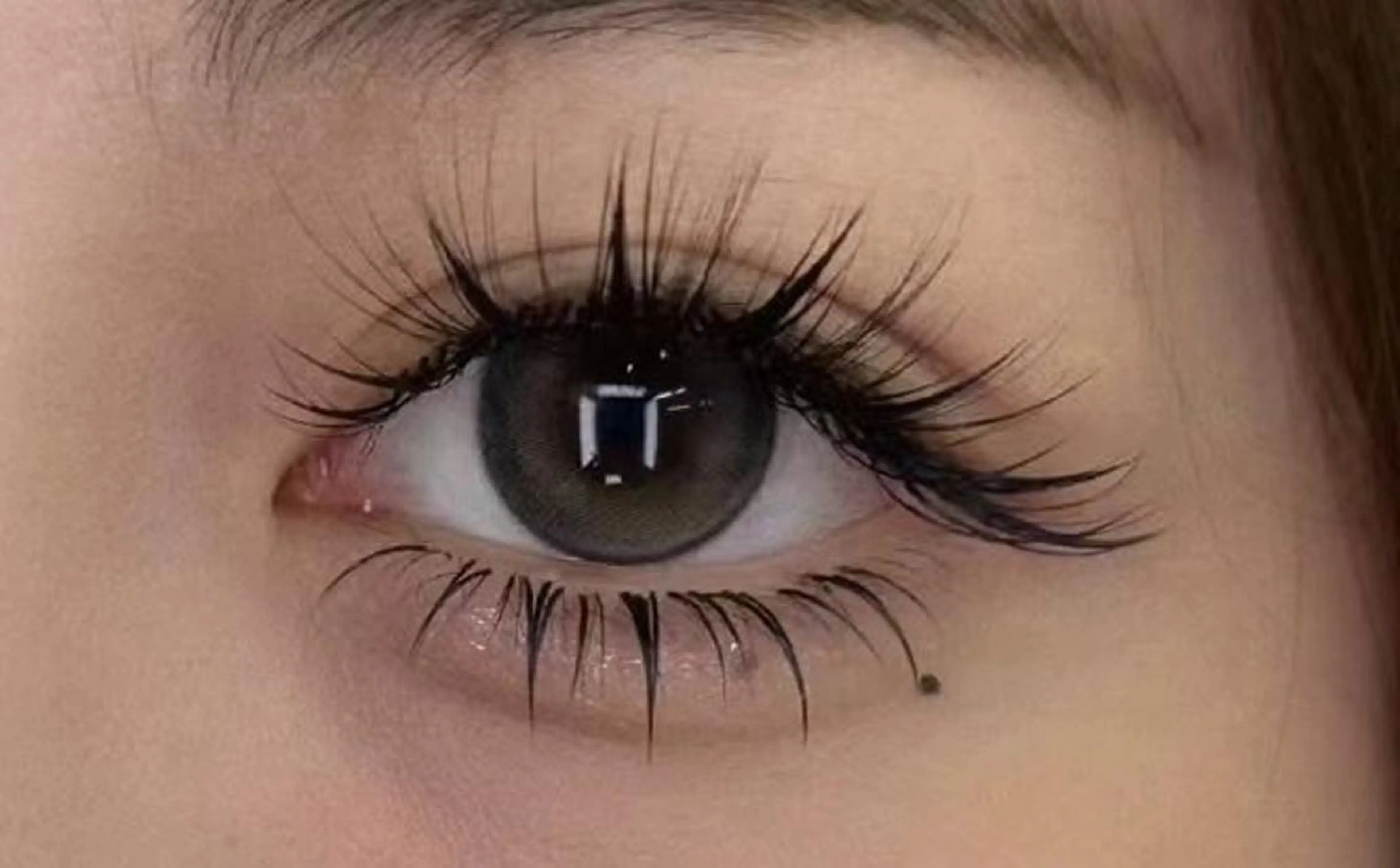 マツエク・マツパ まつげパーマ専門店 FOI　新宿のマツエク・マツパデザイン