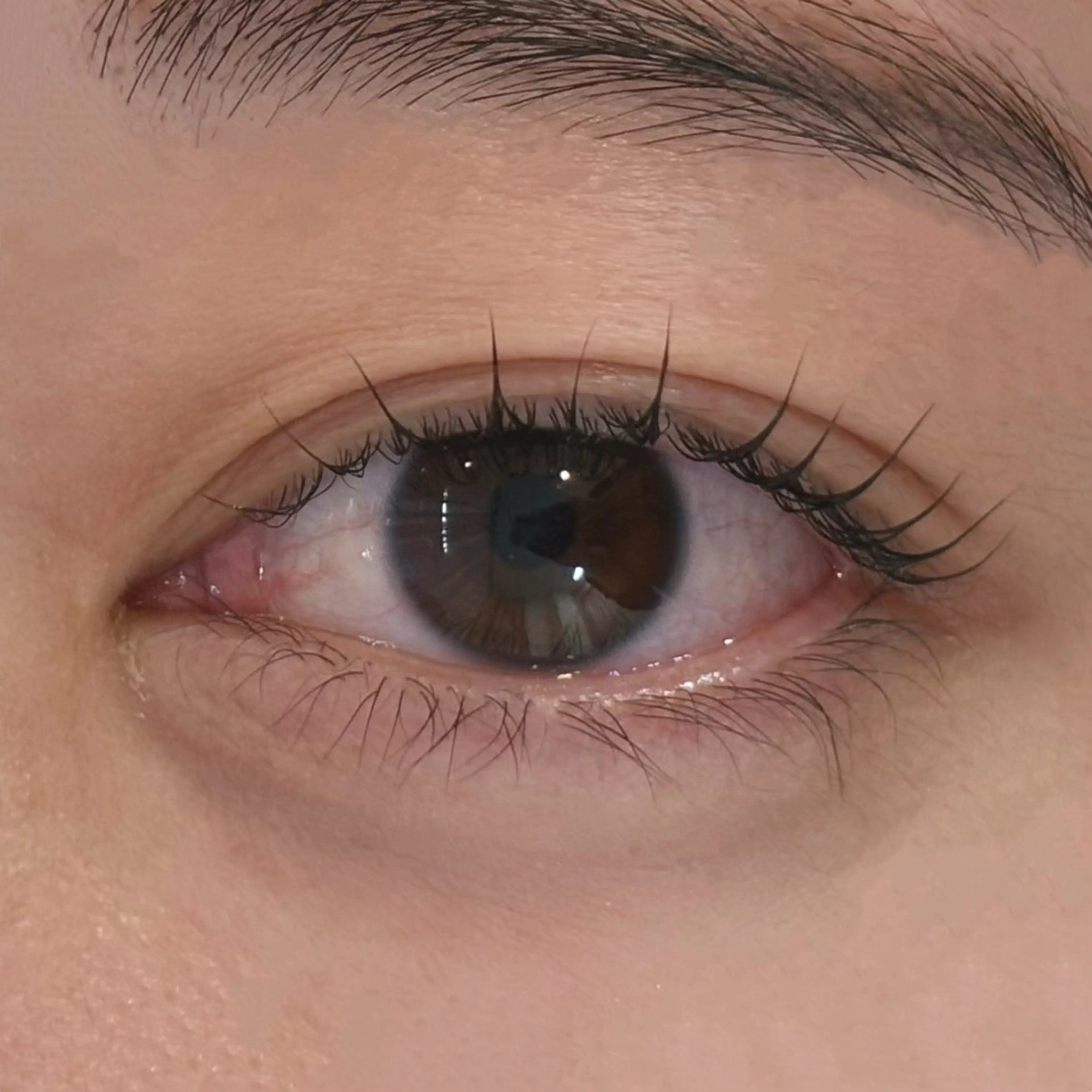 マツエク・マツパ MASAMI / 四条烏丸店のマツエク・マツパデザイン