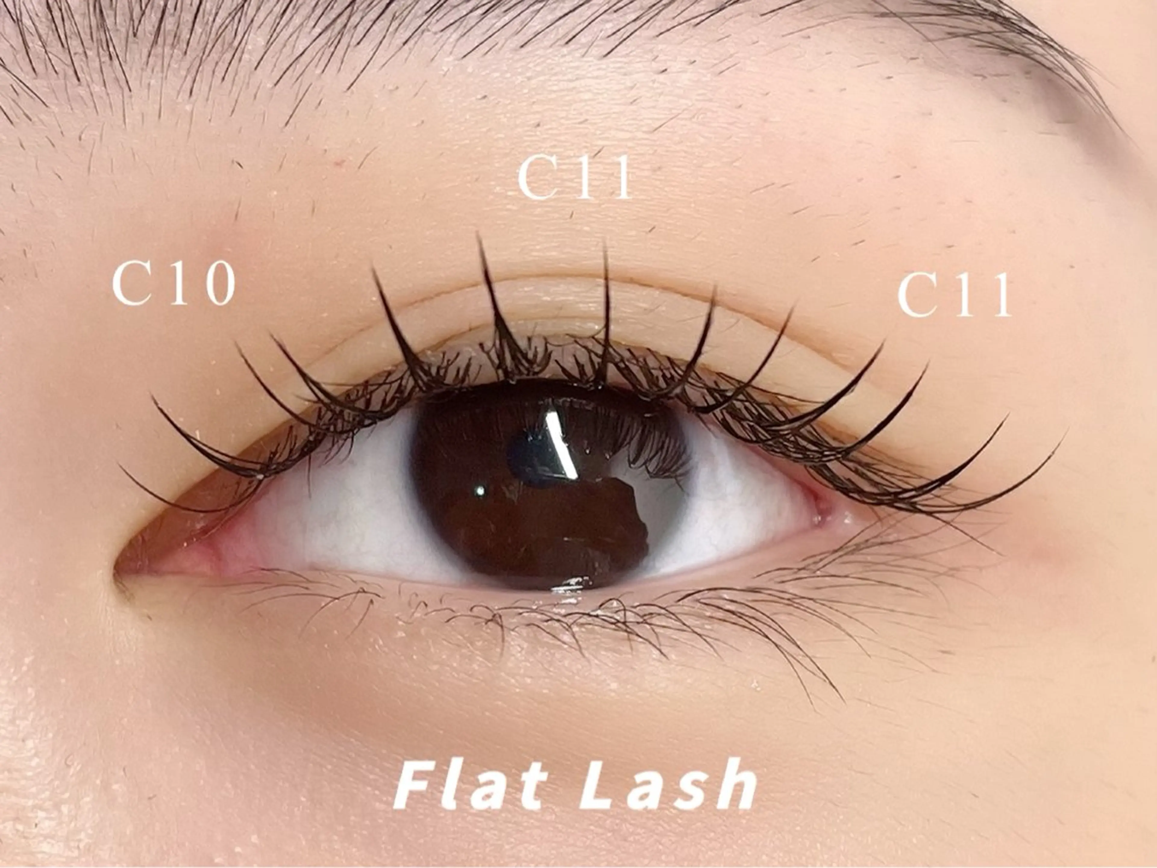 マツエク・マツパ マツエク Avenue 府中店のマツエク・マツパデザイン