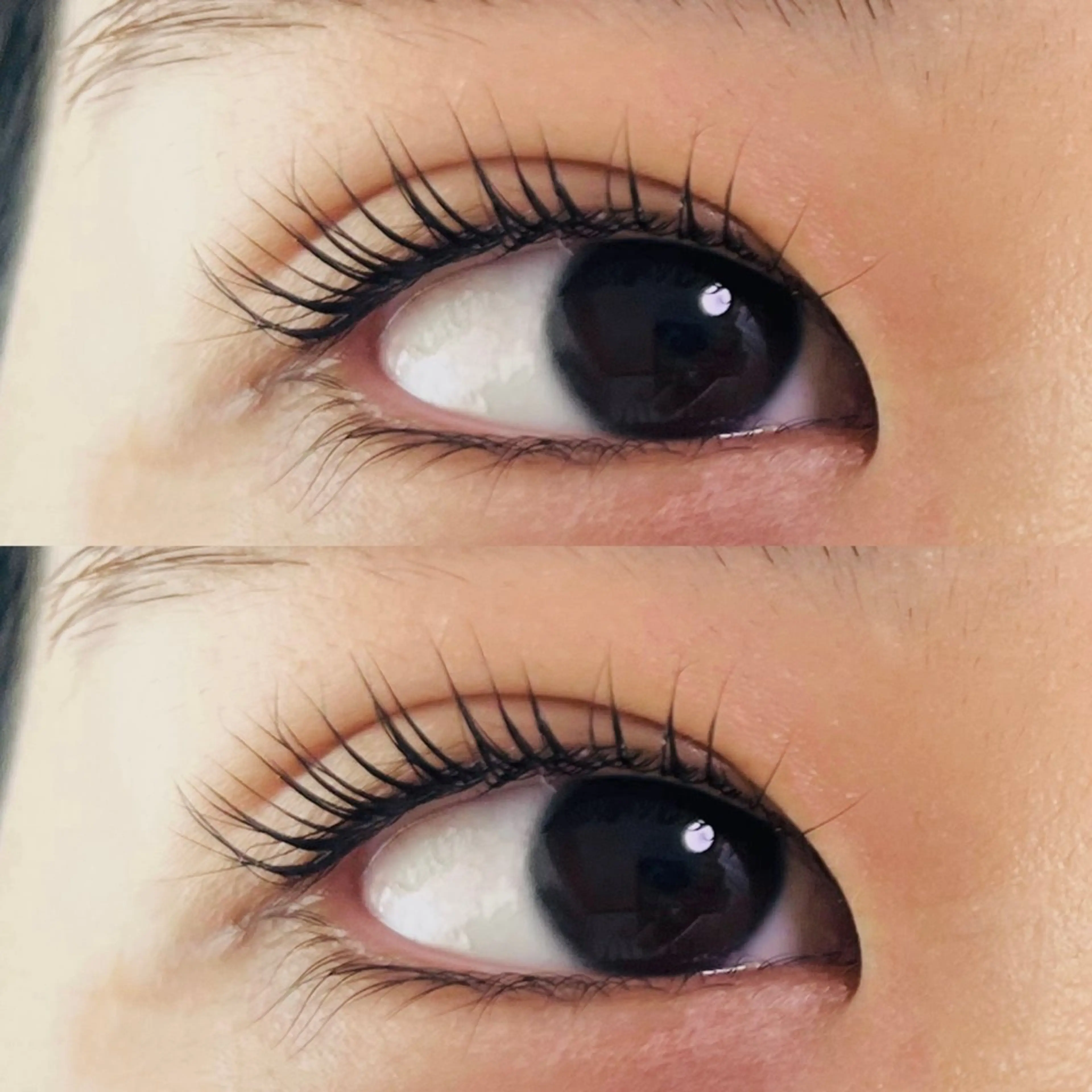 マツエク・マツパ HERA 【ヘラ】のマツエク・マツパデザイン