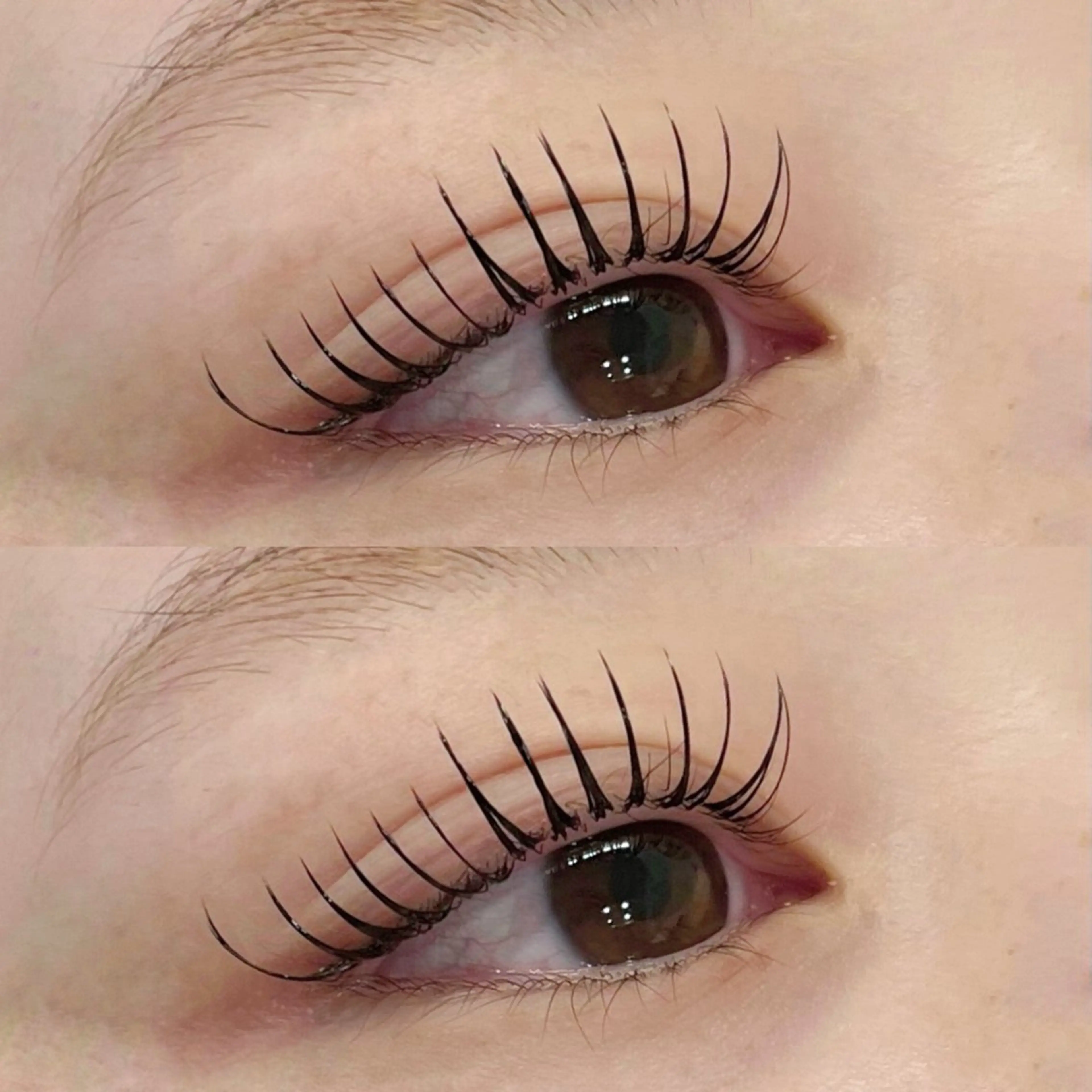 マツエク・マツパ マツエク coco / EYELAのマツエク・マツパデザイン