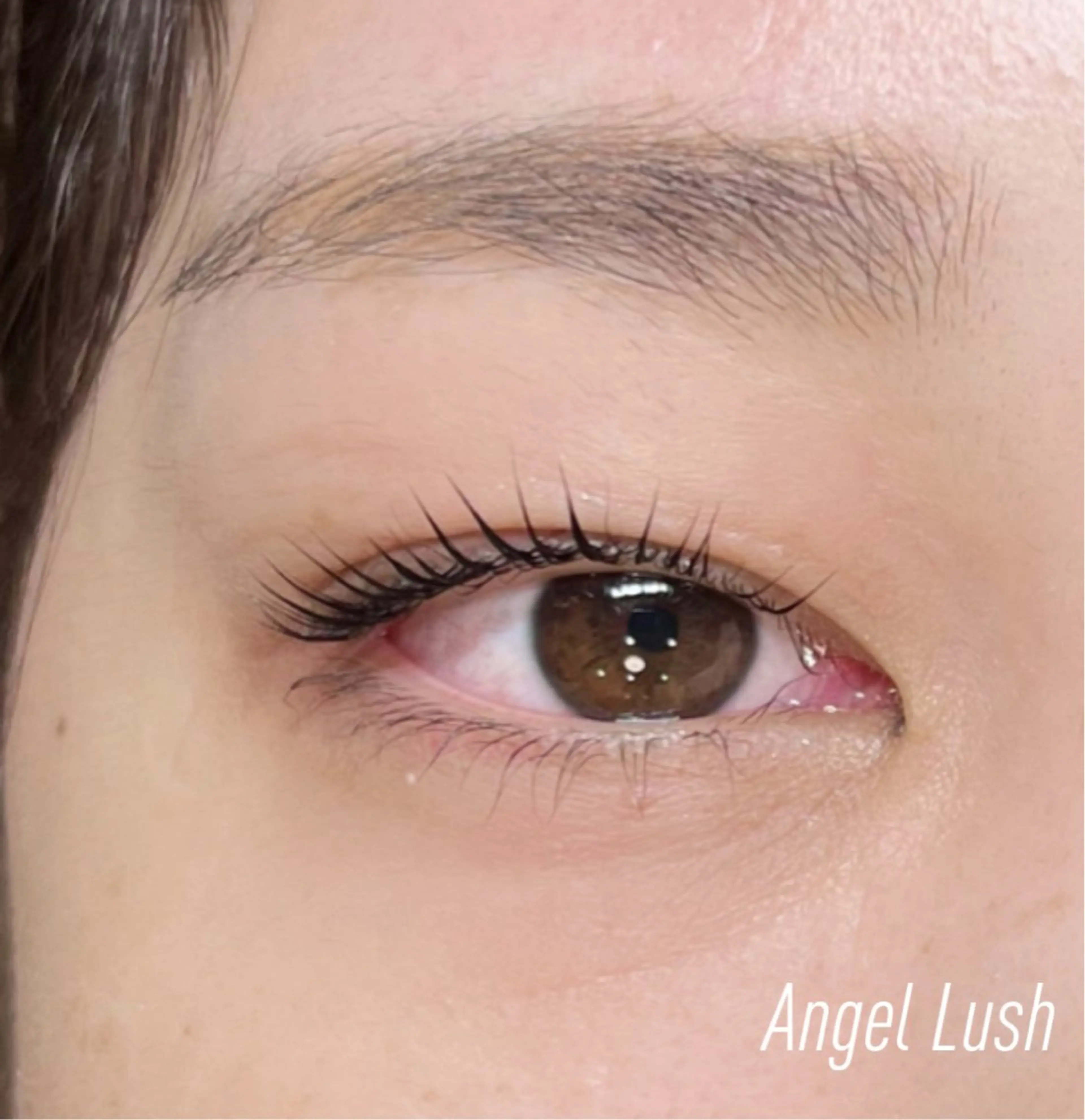 マツエク・マツパ パリジェンヌラッシュリフト AngleLash hayashiのマツエク・マツパデザイン