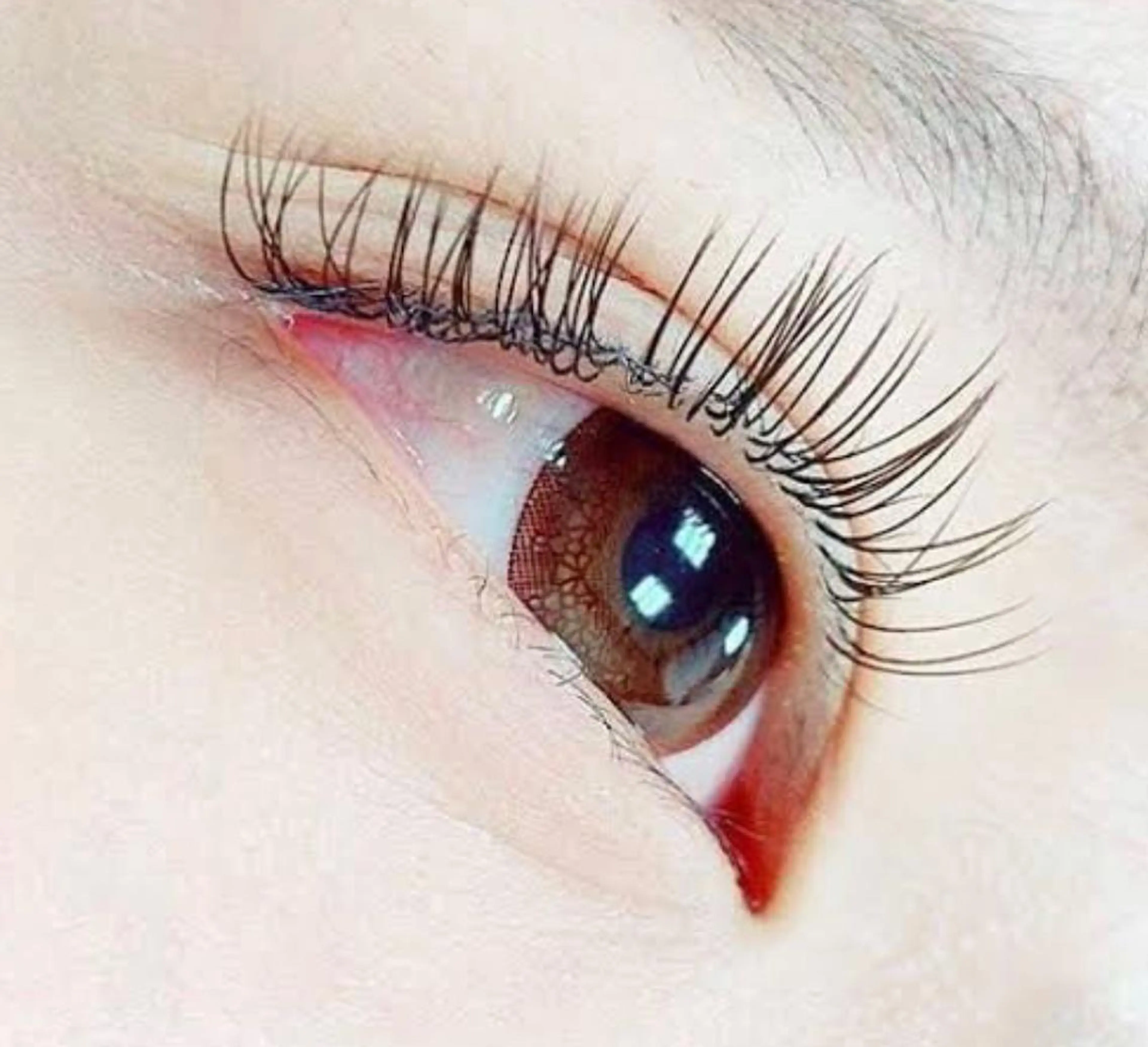 フラットラッシュ🦋100本　他店オフ込み　　　　　　　　　　　　　　　◎ミニモ限定価格の写真