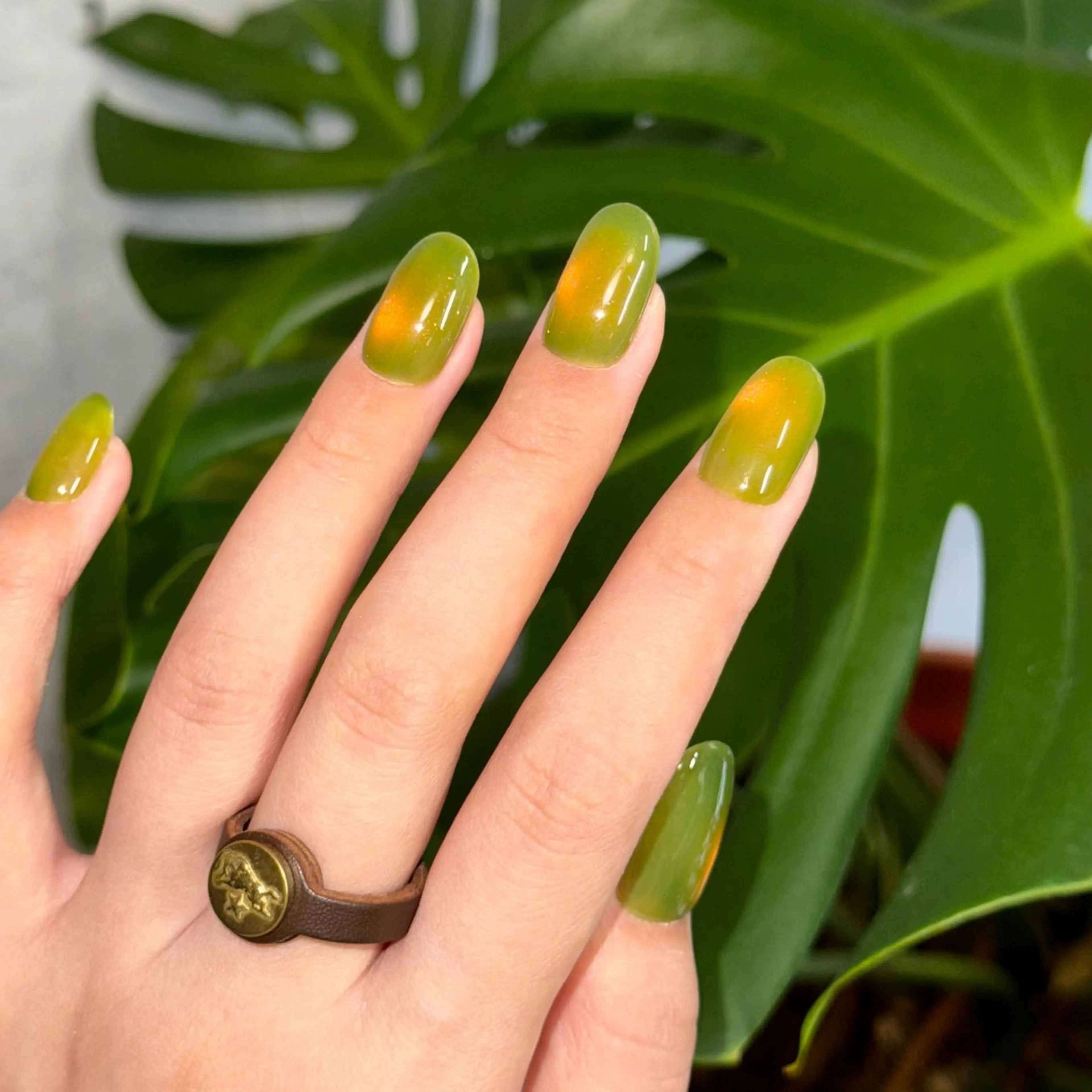 ネイル マグネットネイル マグネットワンカラー ワンカラーネイル jellyfish アカリ【静岡駅5分】のネイルデザイン