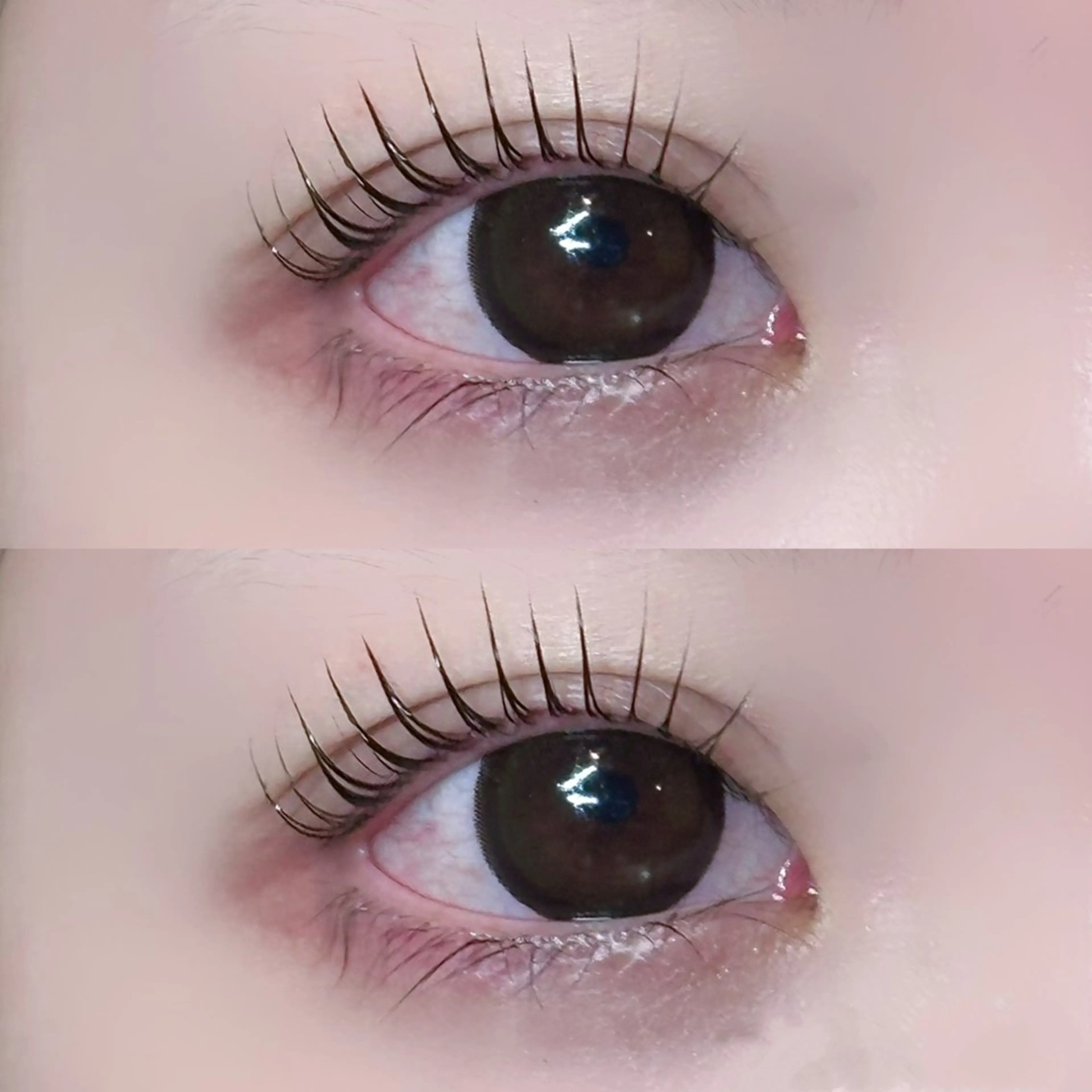 🚨当日限定クーポン🚨　パリジェンヌ🌟💞＋高級💫コーティング付✨オフ込の写真