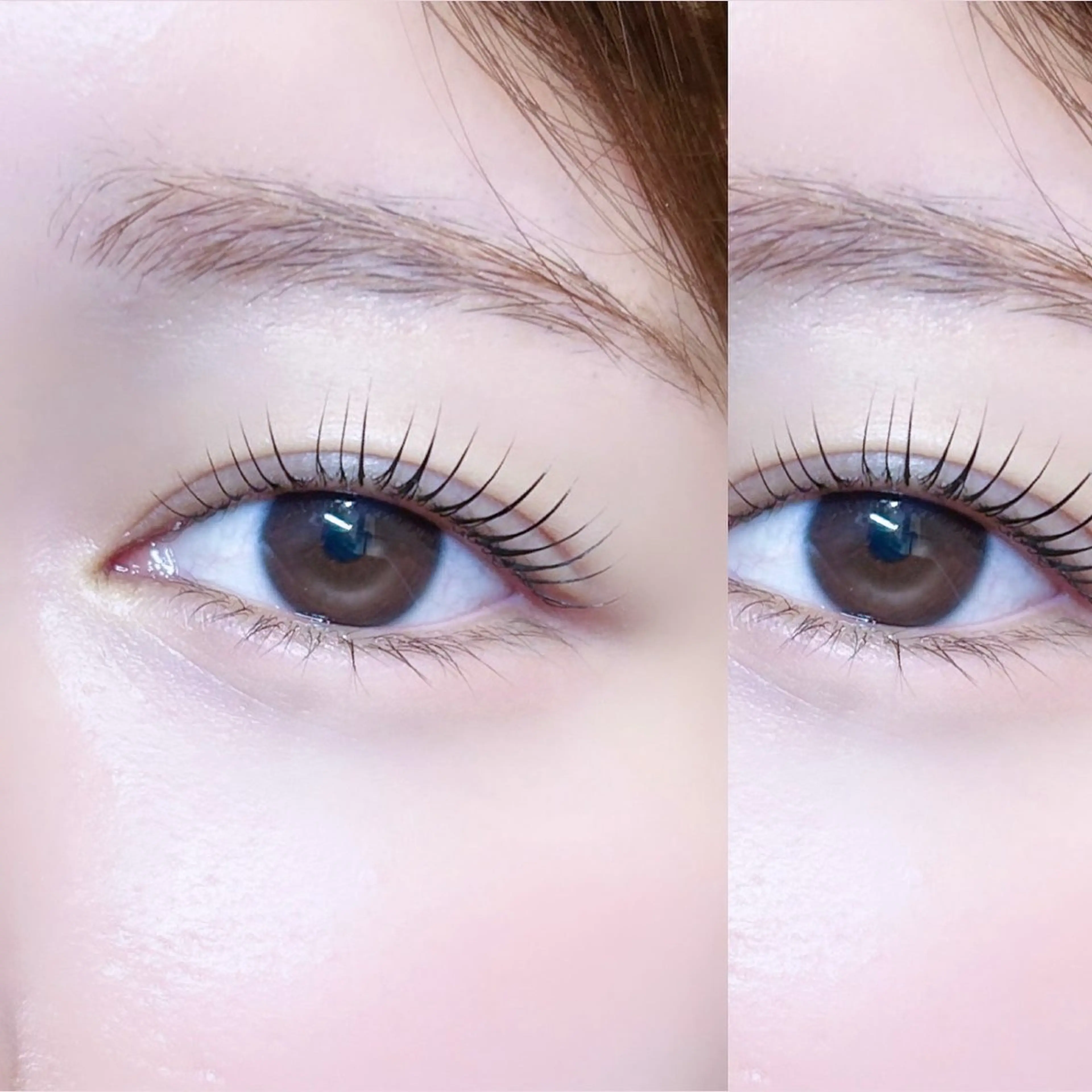 《💠束感デザイン💠仕上げコーティング付✨》 まつげパーマ／ラッシュリフト🎀 —ツヤ×束感でぱっちり可愛い目元に👀の写真