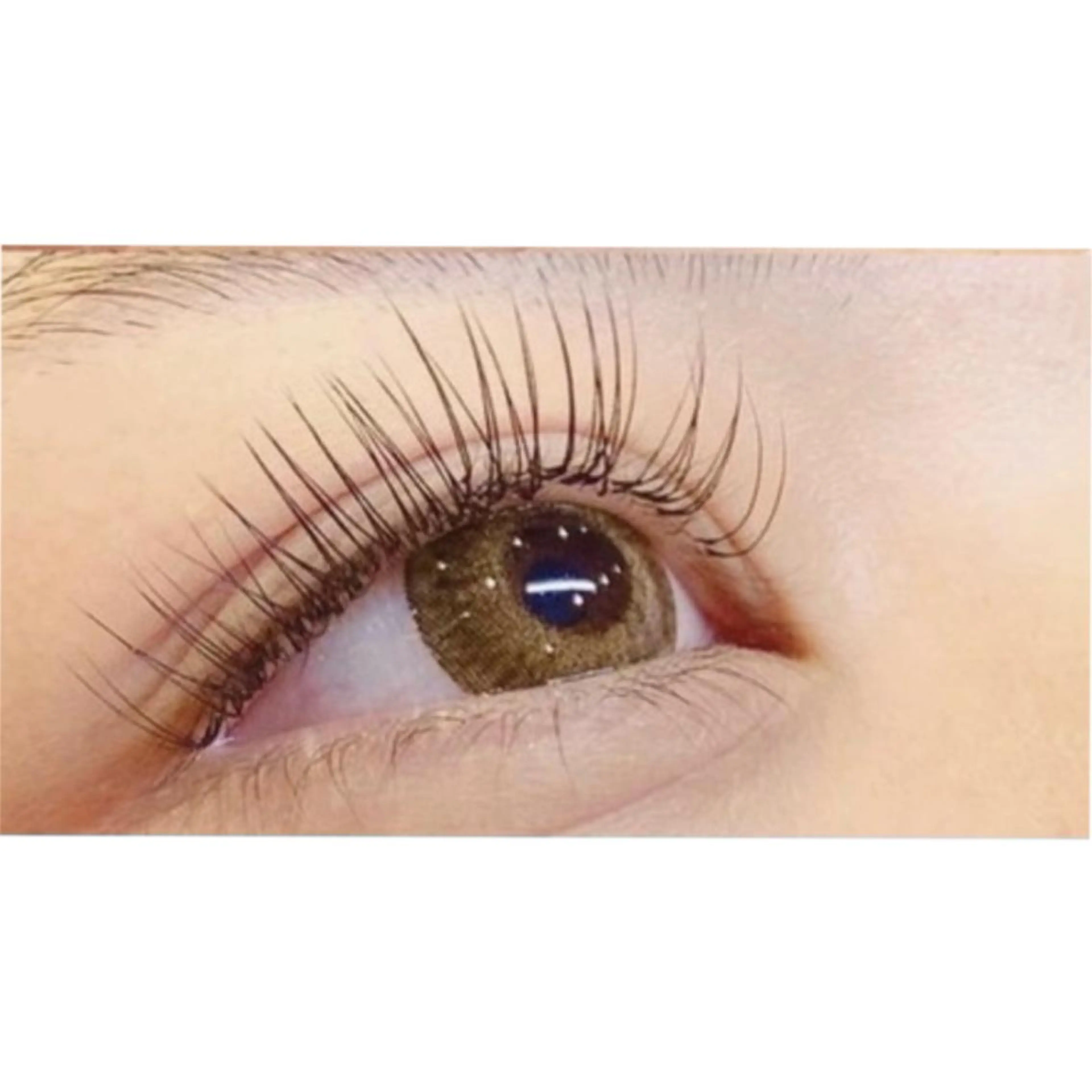 マツエク・マツパ フラットラッシュ kyo kaの眉毛・アイブロウイメージ