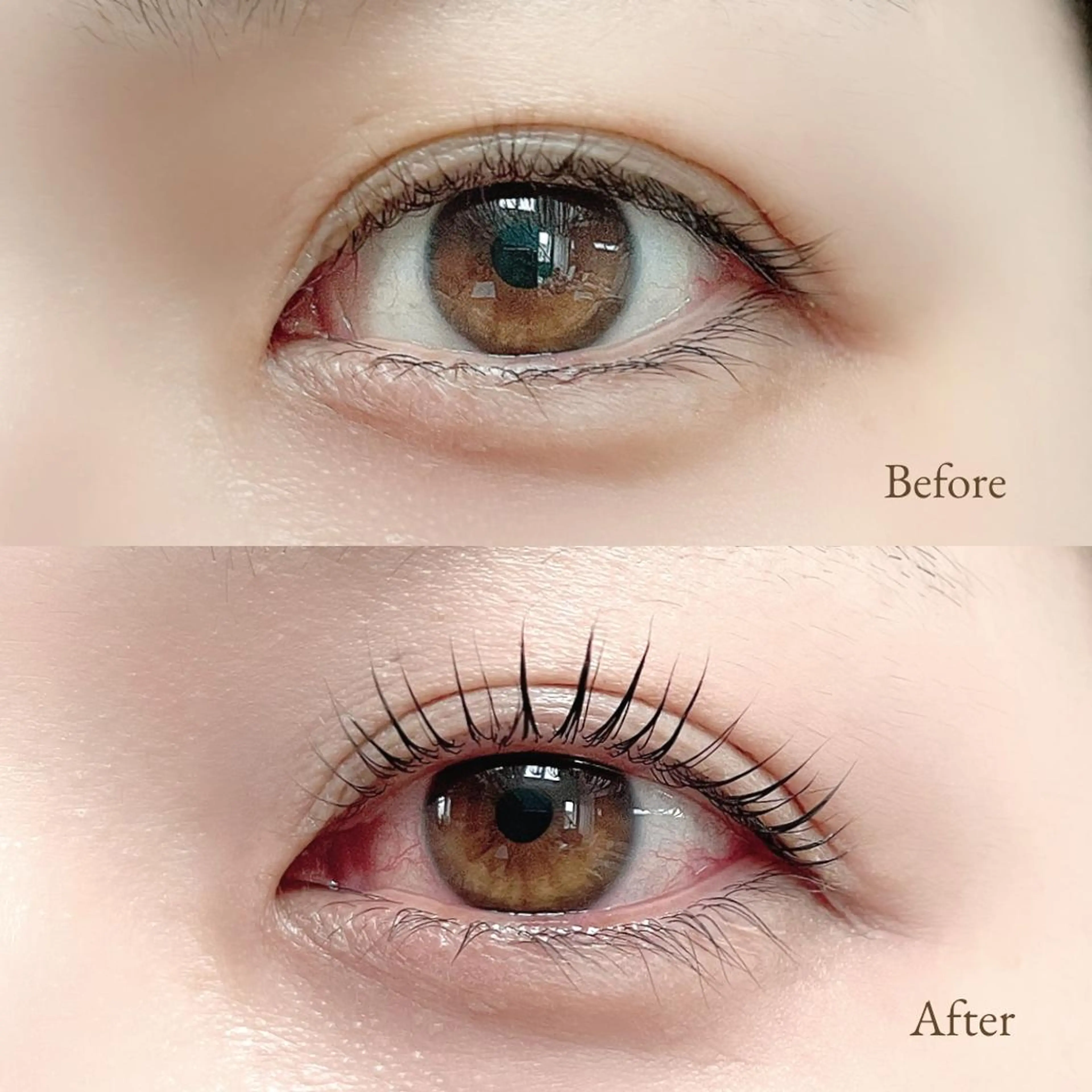 マツエク・マツパ loa まつ毛と肌管理のお店のマツエク・マツパデザイン