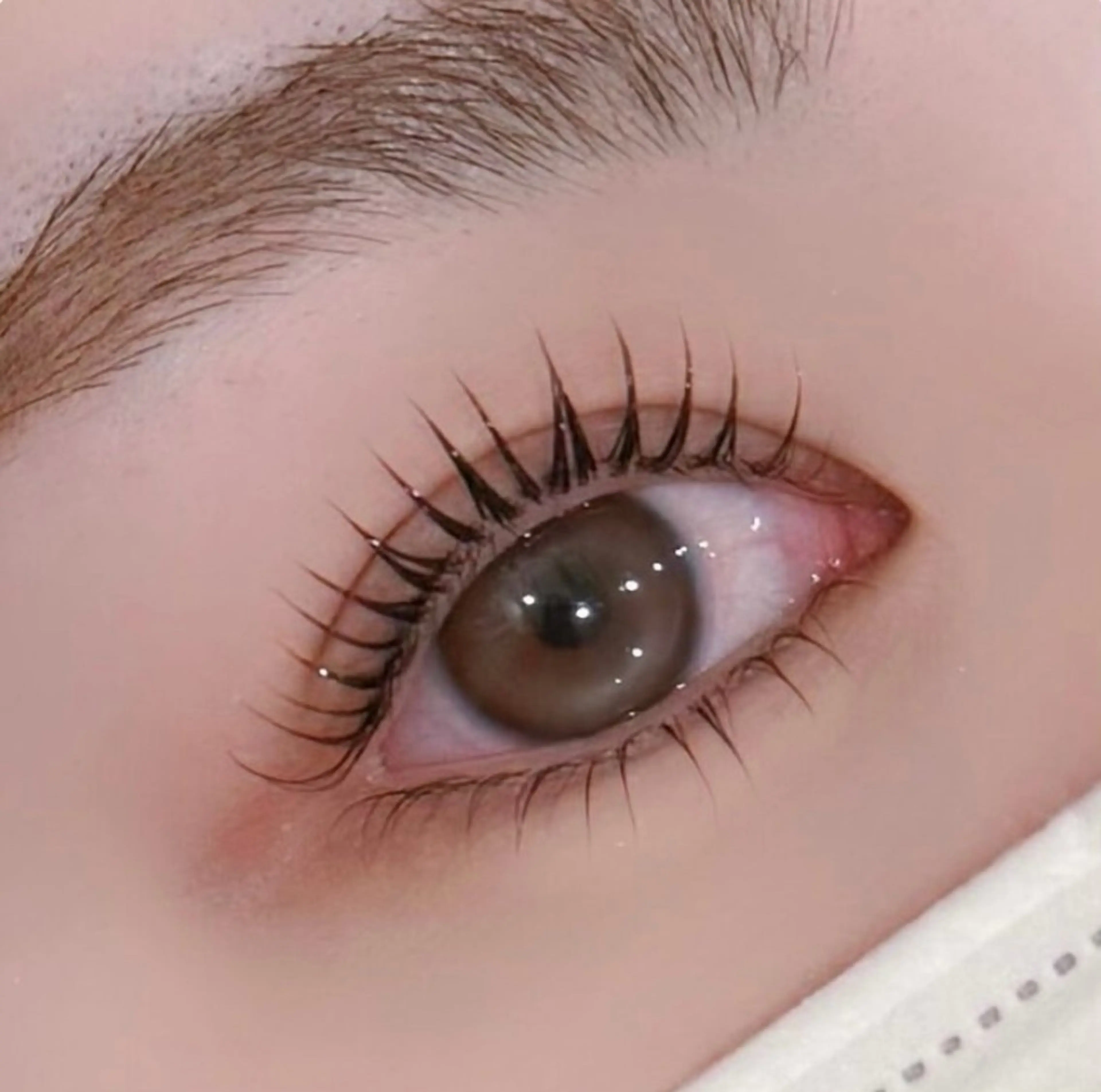 マツエク・マツパ 🌼マリーテレジア 🎀Ｋ.Ｔ🌼のマツエク・マツパデザイン