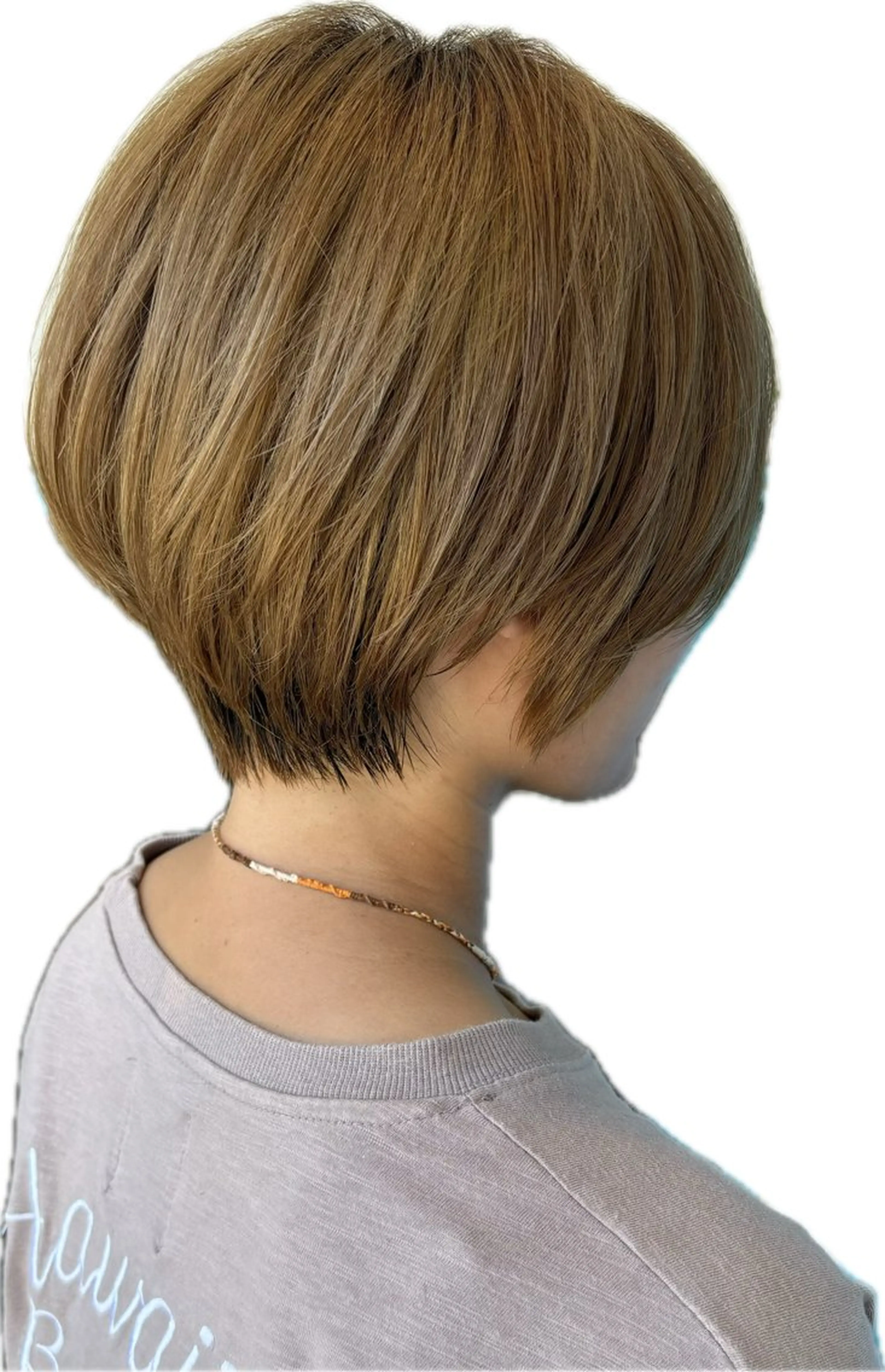 レディースショートカラーの写真