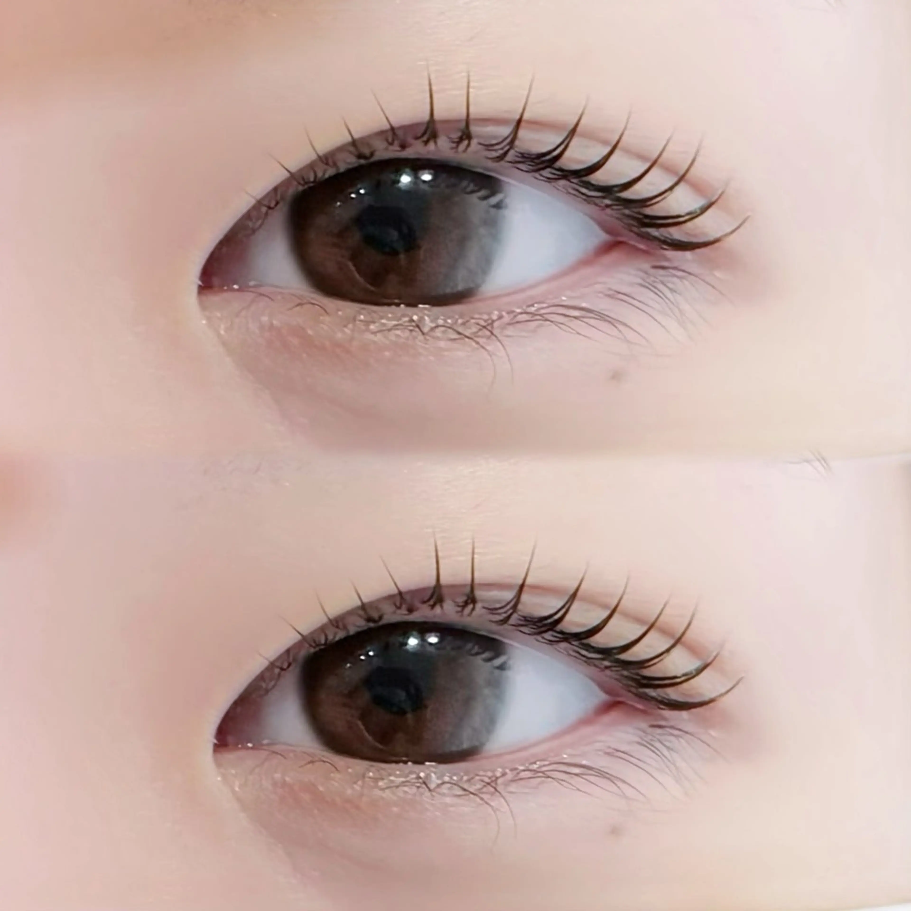 マツエク・マツパ 一重×まつ毛パーマ Chaton SUZUKIのマツエク・マツパデザイン