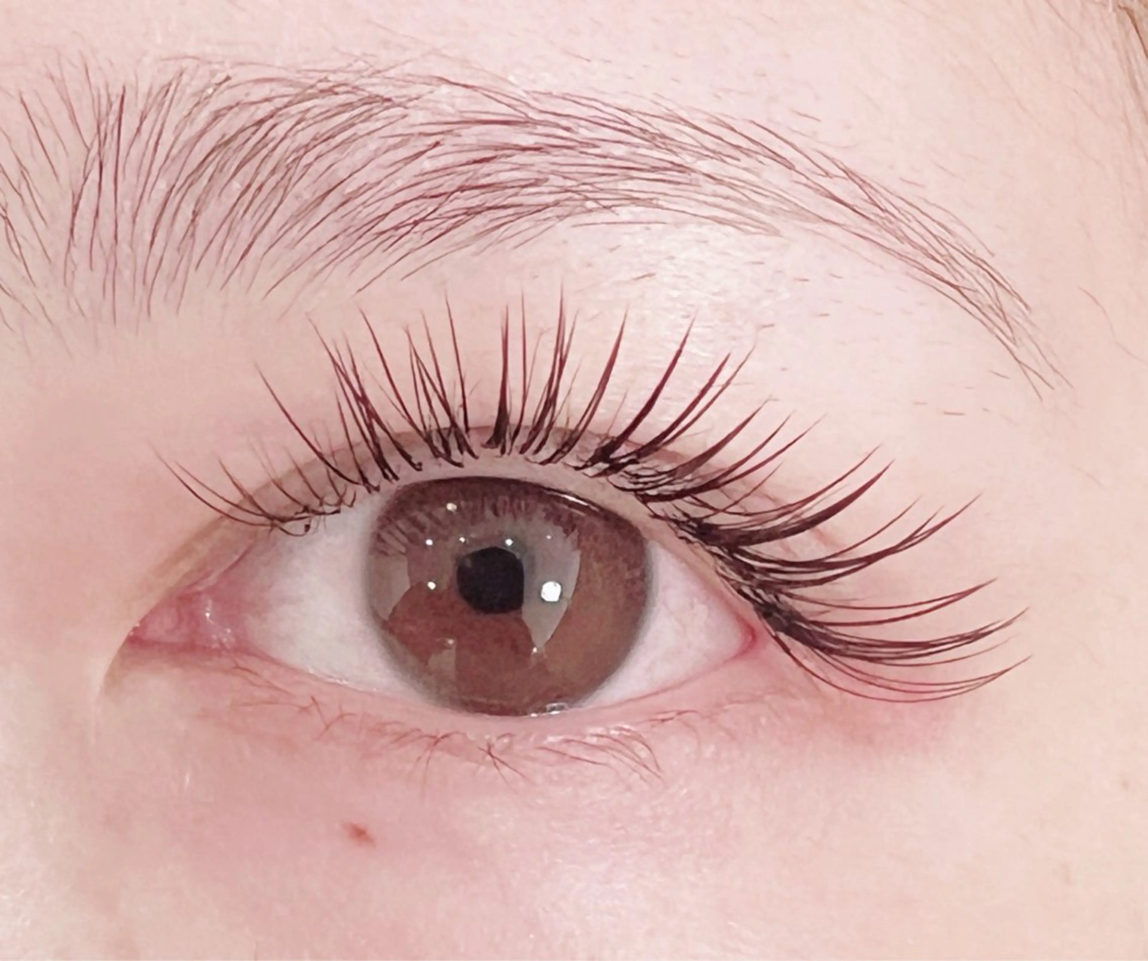 マツエク・マツパ マツエク lepo 川越 arisaのマツエク・マツパデザイン