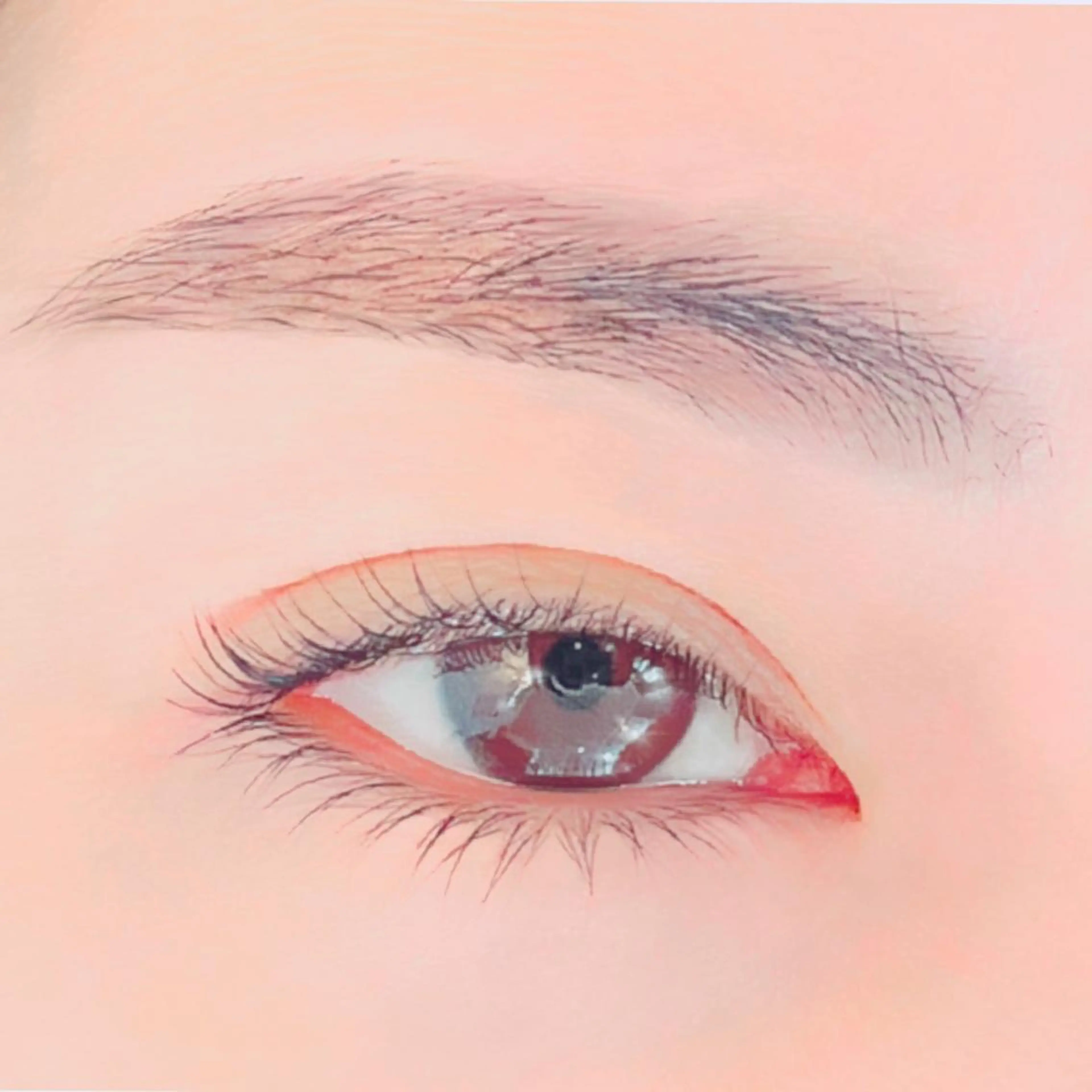 ご新規様限定⭐︎まつげパーマの写真