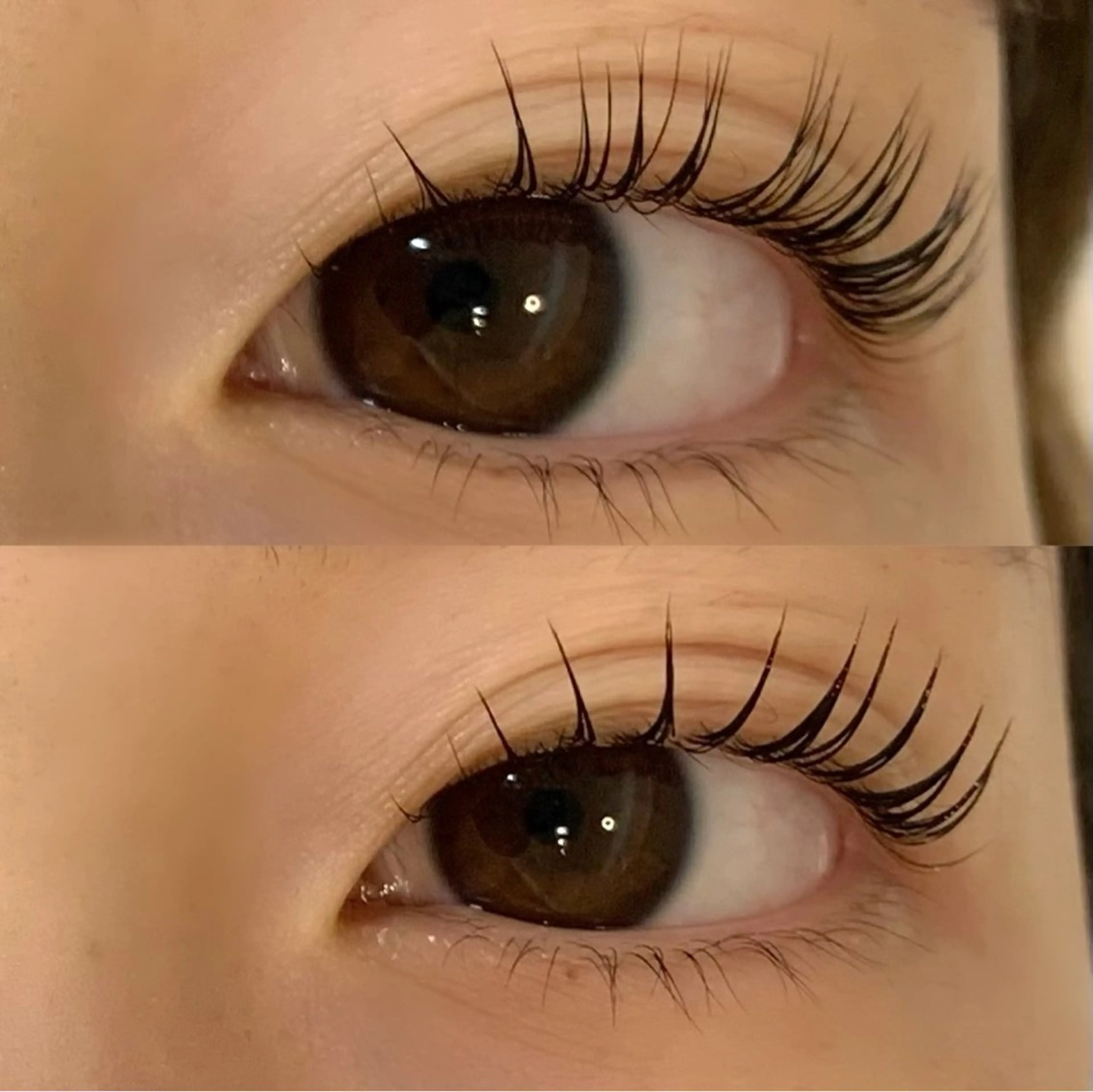 マツエク・マツパ TORCH 青柳のマツエク・マツパデザイン