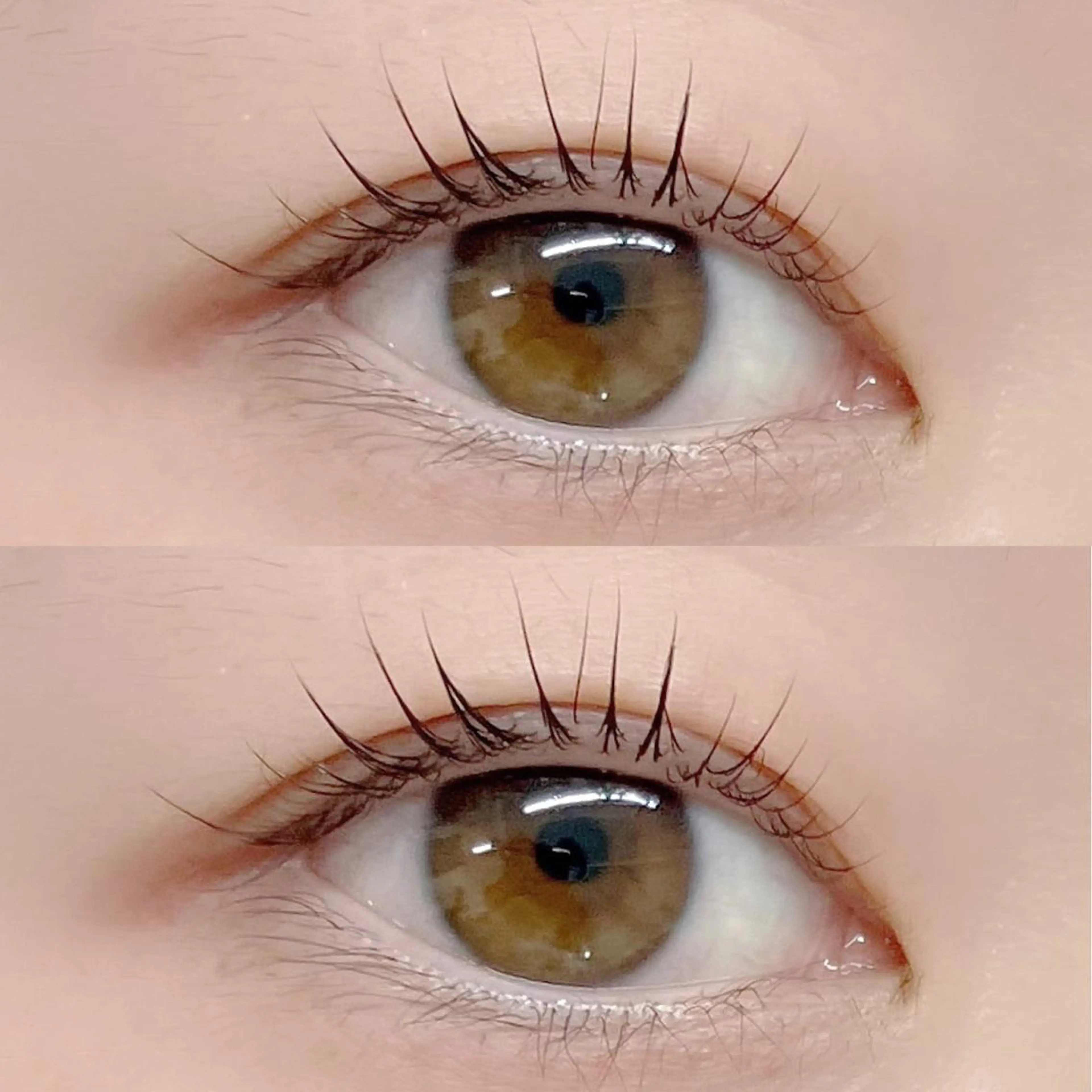 マツエク・マツパ フジ ワラのマツエク・マツパデザイン