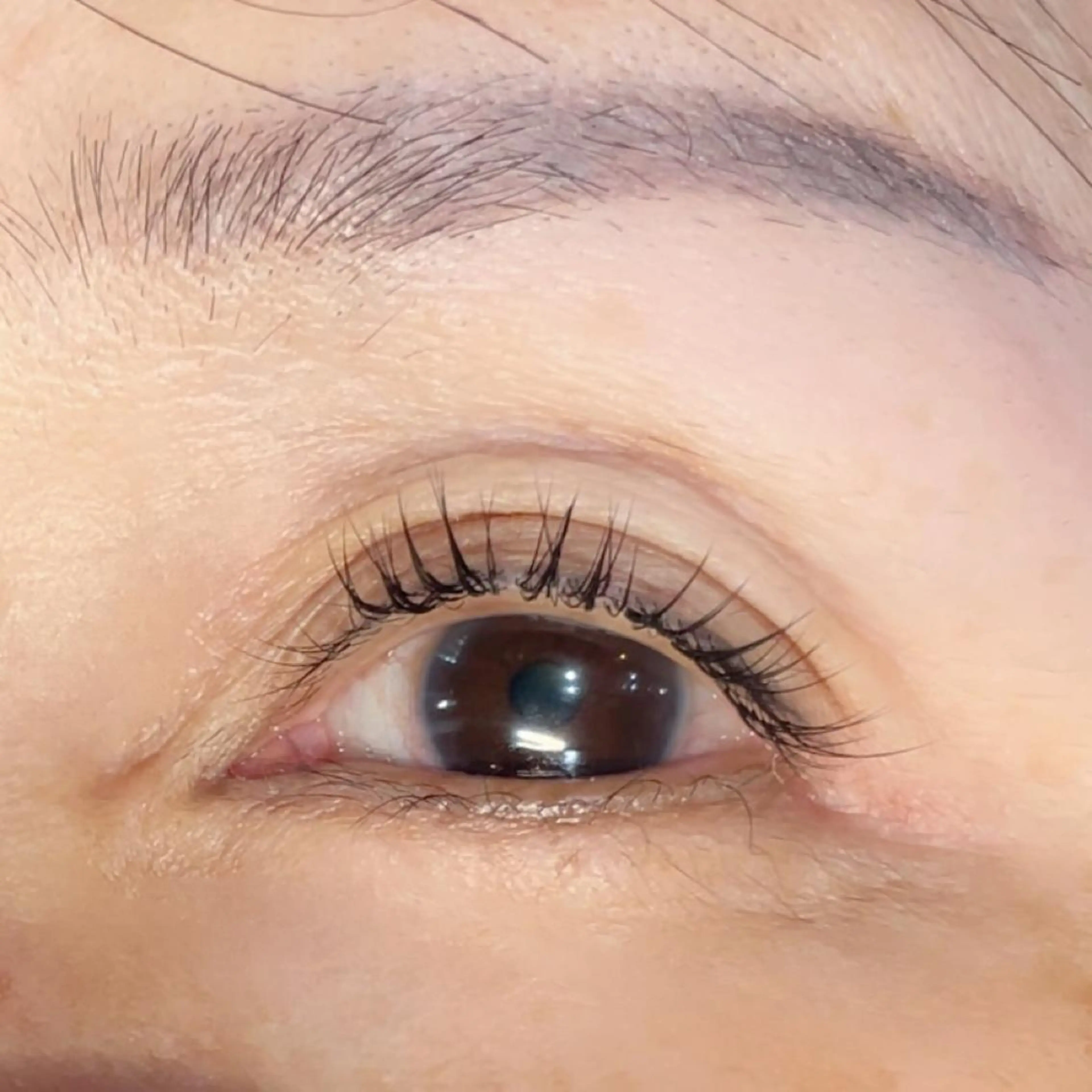 マツエク・マツパ Bianca錦糸町店 Satouのマツエク・マツパデザイン