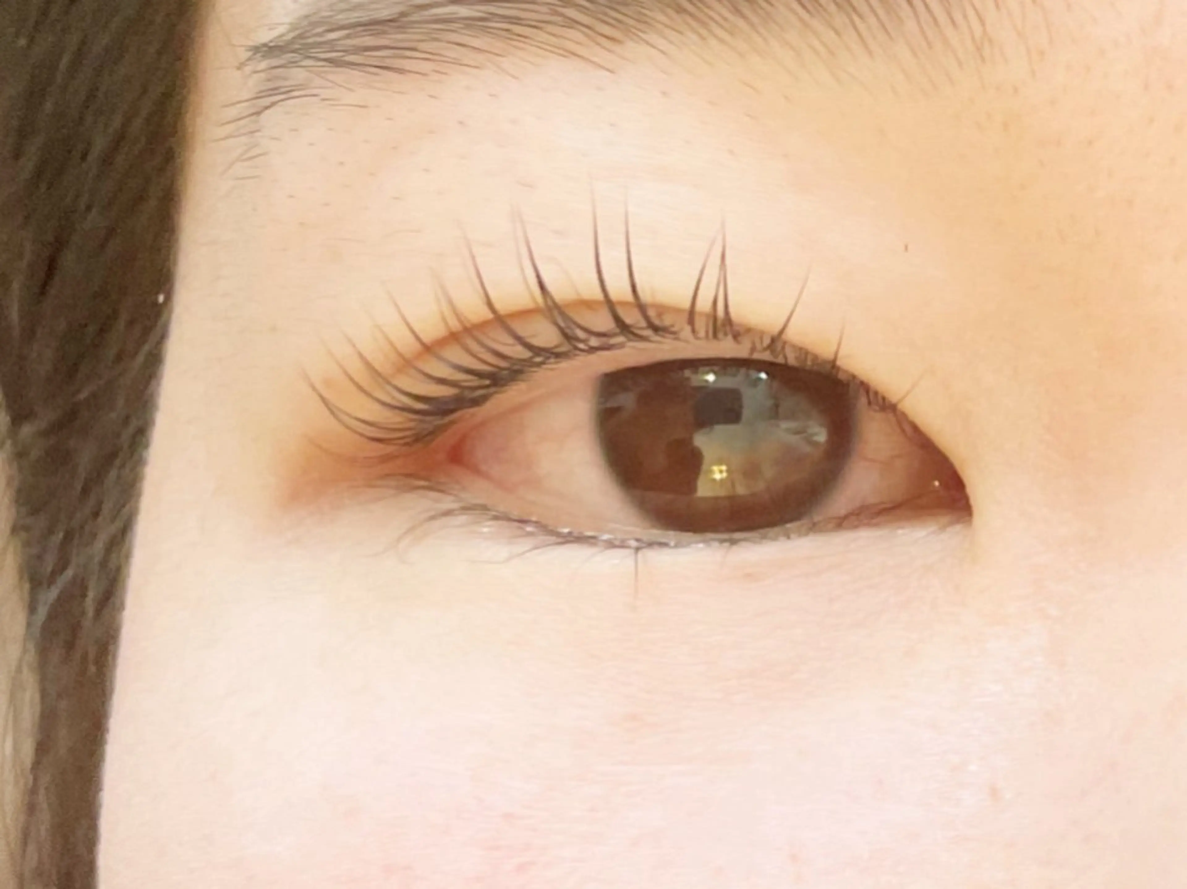 [4週間以内のご来店]パリジェンヌラッシュリフト&トリートメント付きの写真