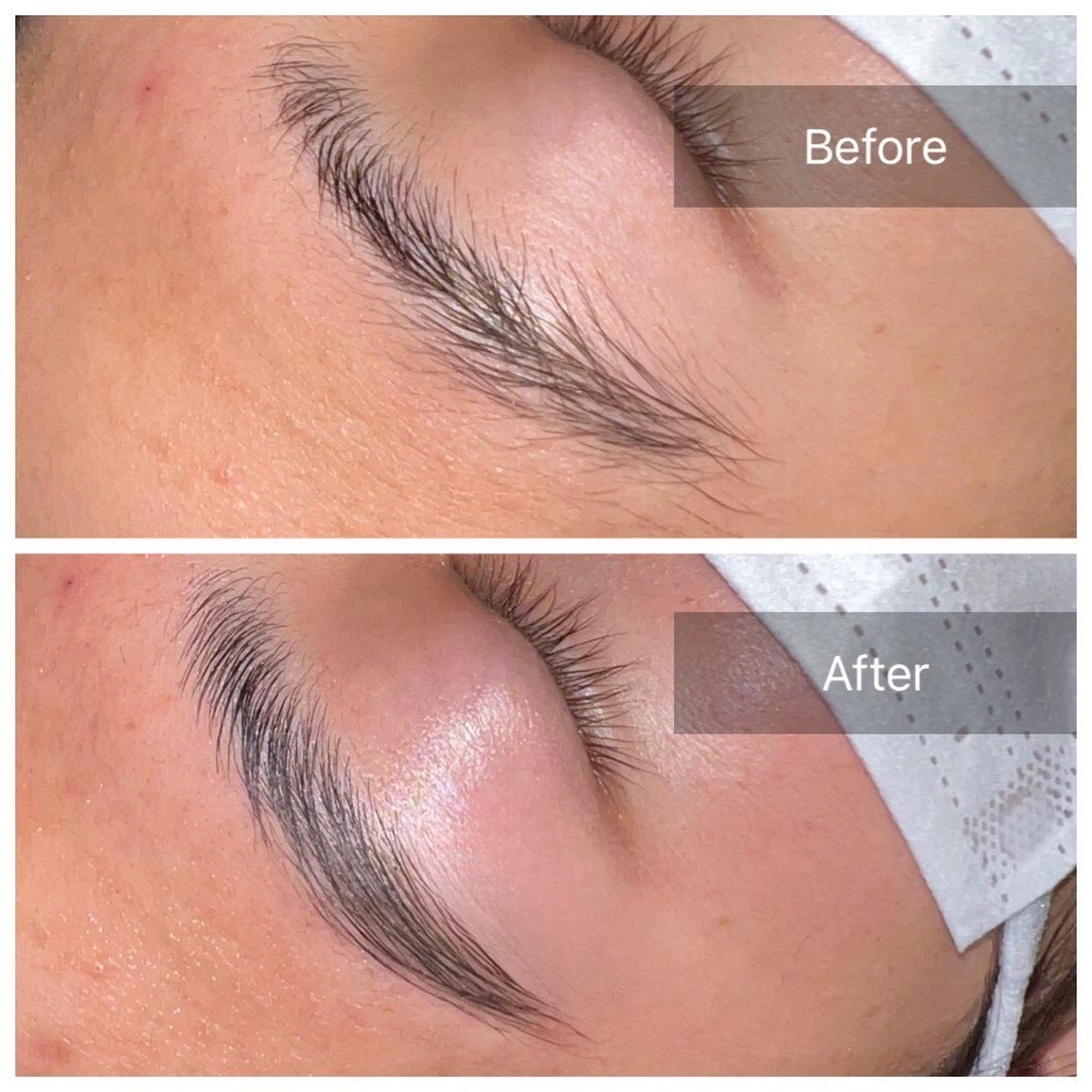 萩原 一樹の眉毛・アイブロウイメージ