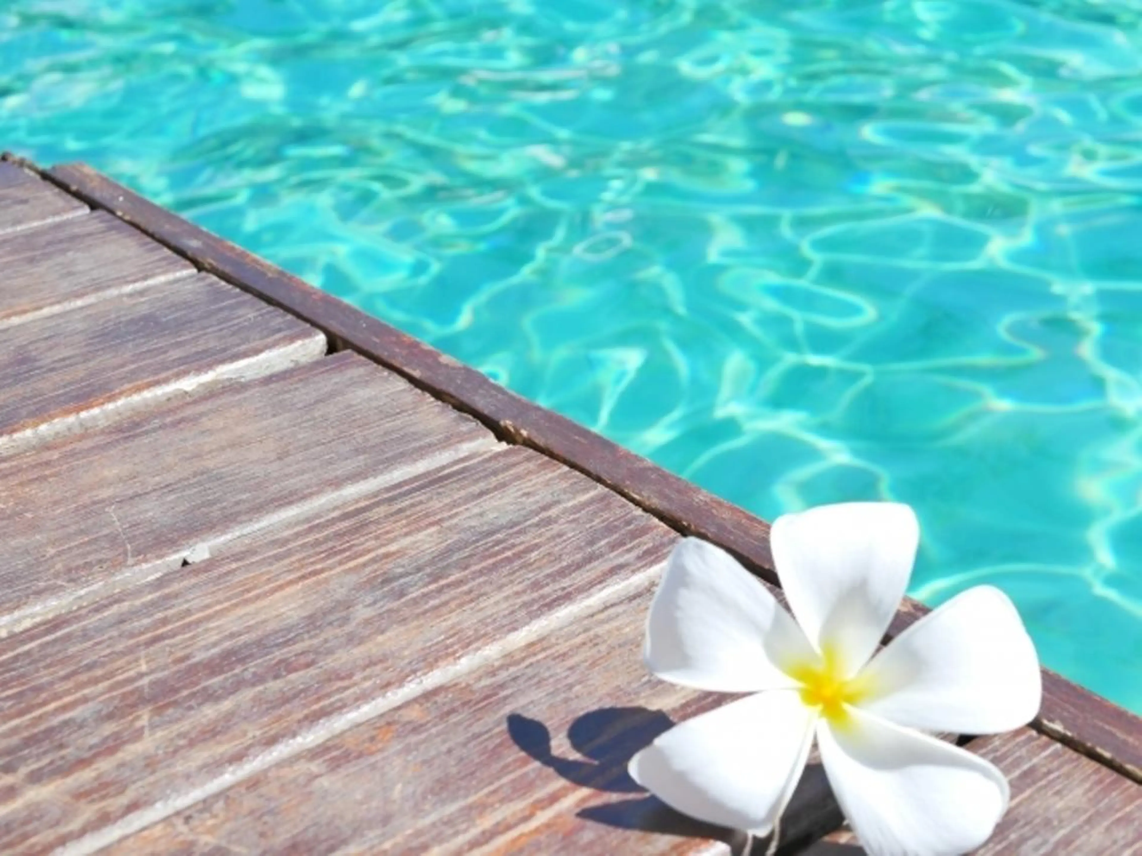 足つぼ&温活アロマ みどりの時間のエステ・リラクイメージ