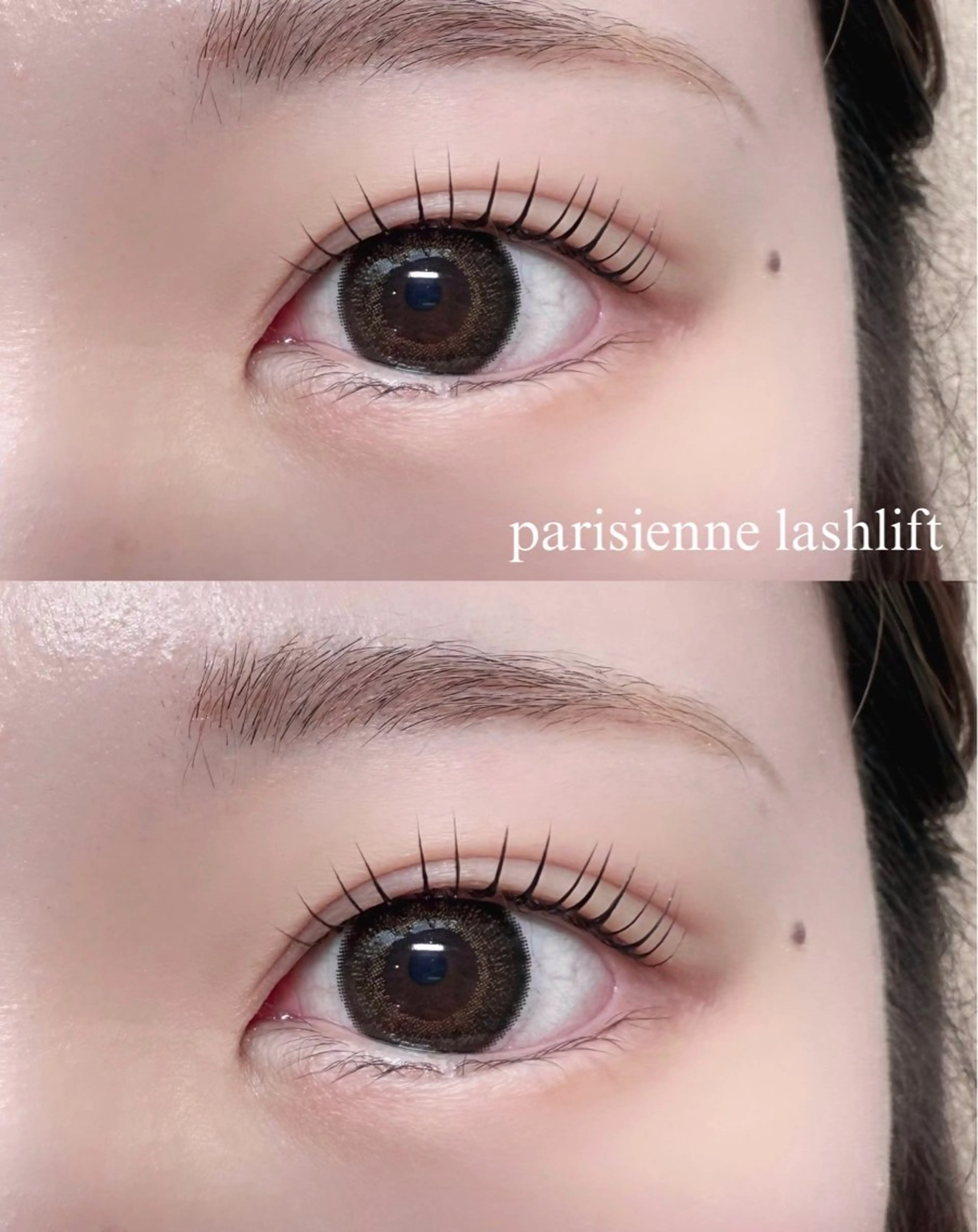 ‼️当日限定‼️🎀まつ毛パーマ🎀（パリジェンヌorラッシュリフト）の写真