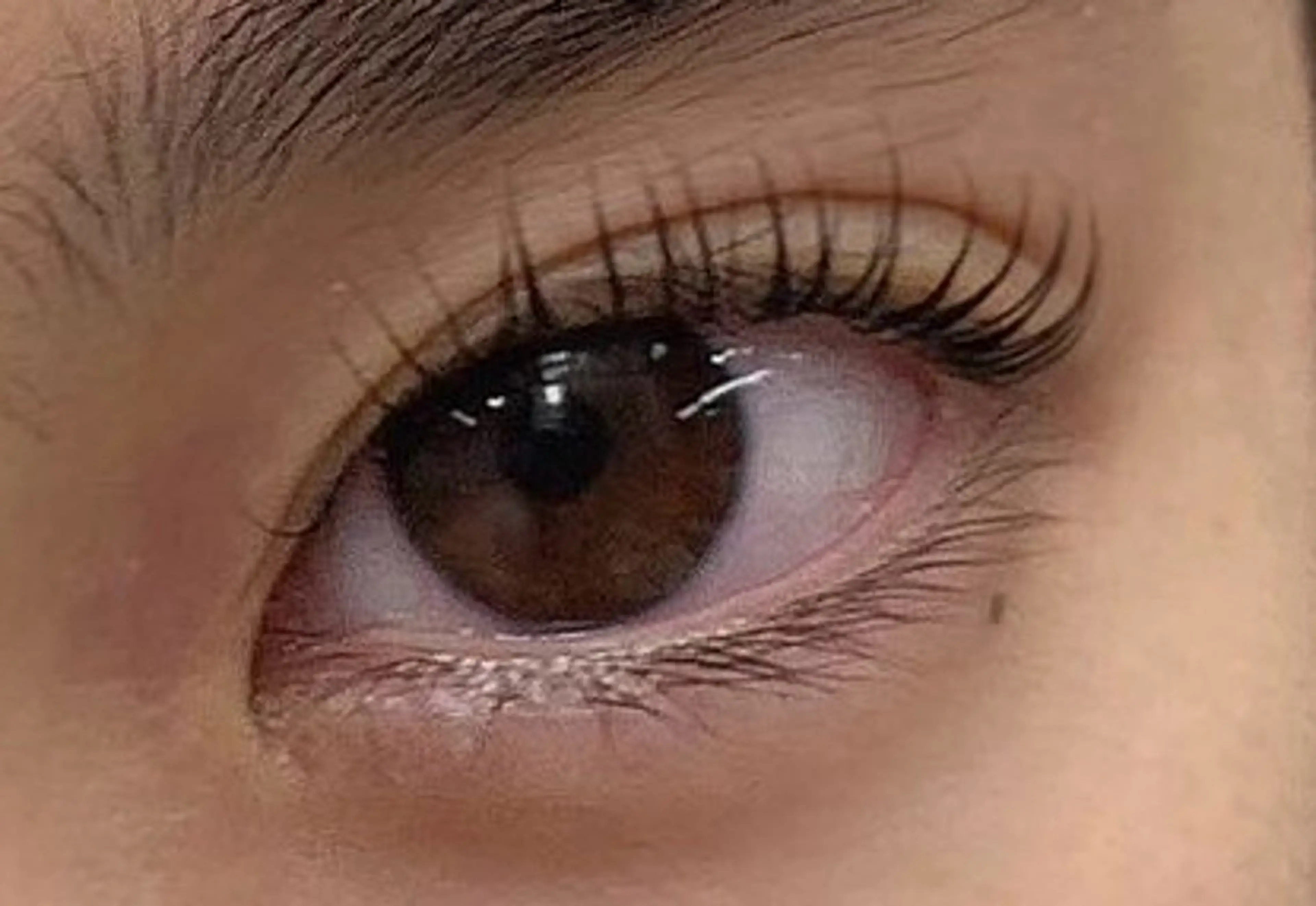 マツエク・マツパ ペペEye Beauty新宿のマツエク・マツパデザイン