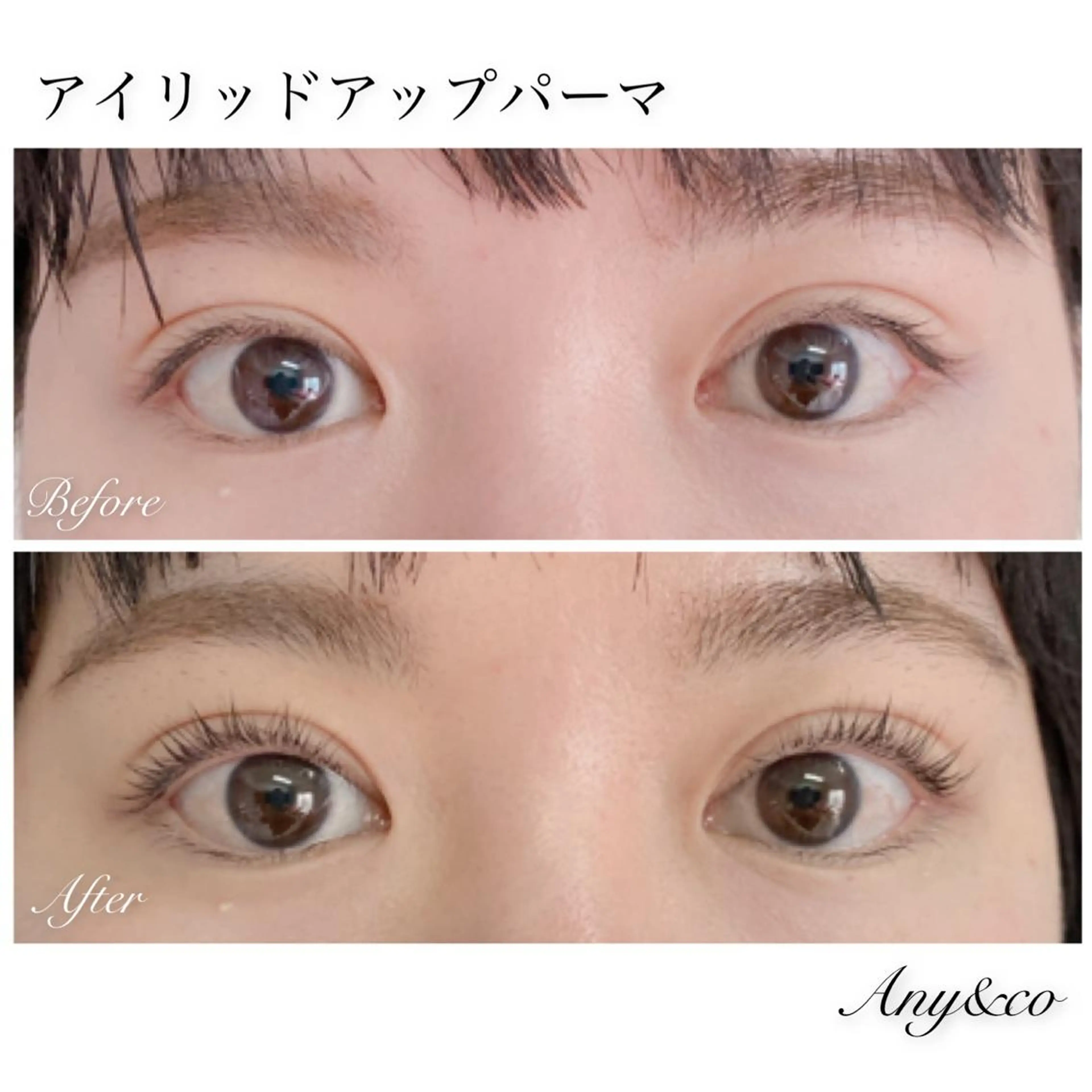 マツエク・マツパ アイリッドアップパーマ Any&co 【エニコ】のマツエク・マツパデザイン