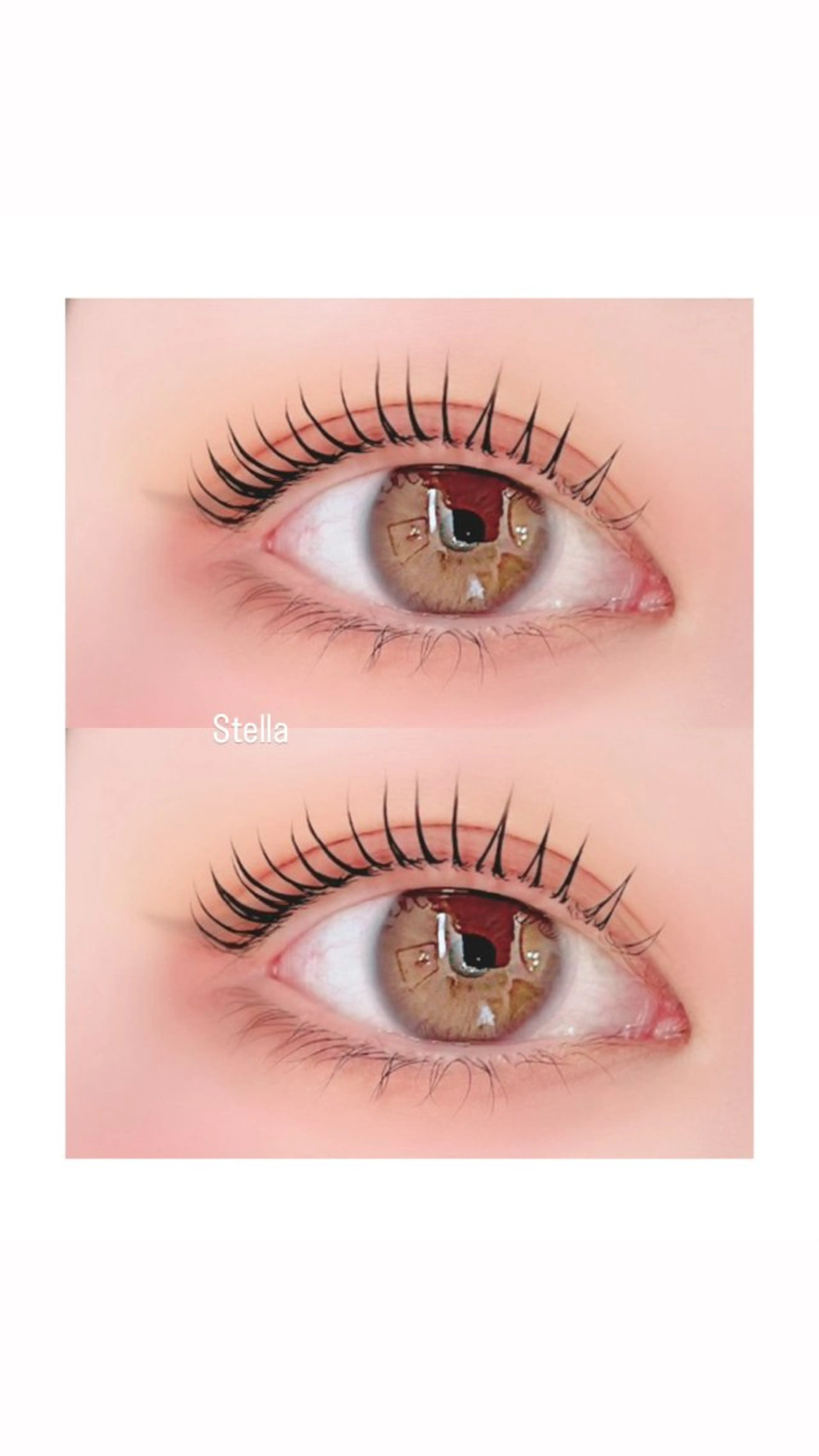 🎀ご新規様限定🎀まつ毛パーマ(ラッシュリフト)高濃度トリートメント&コーティング仕上げ✨の写真