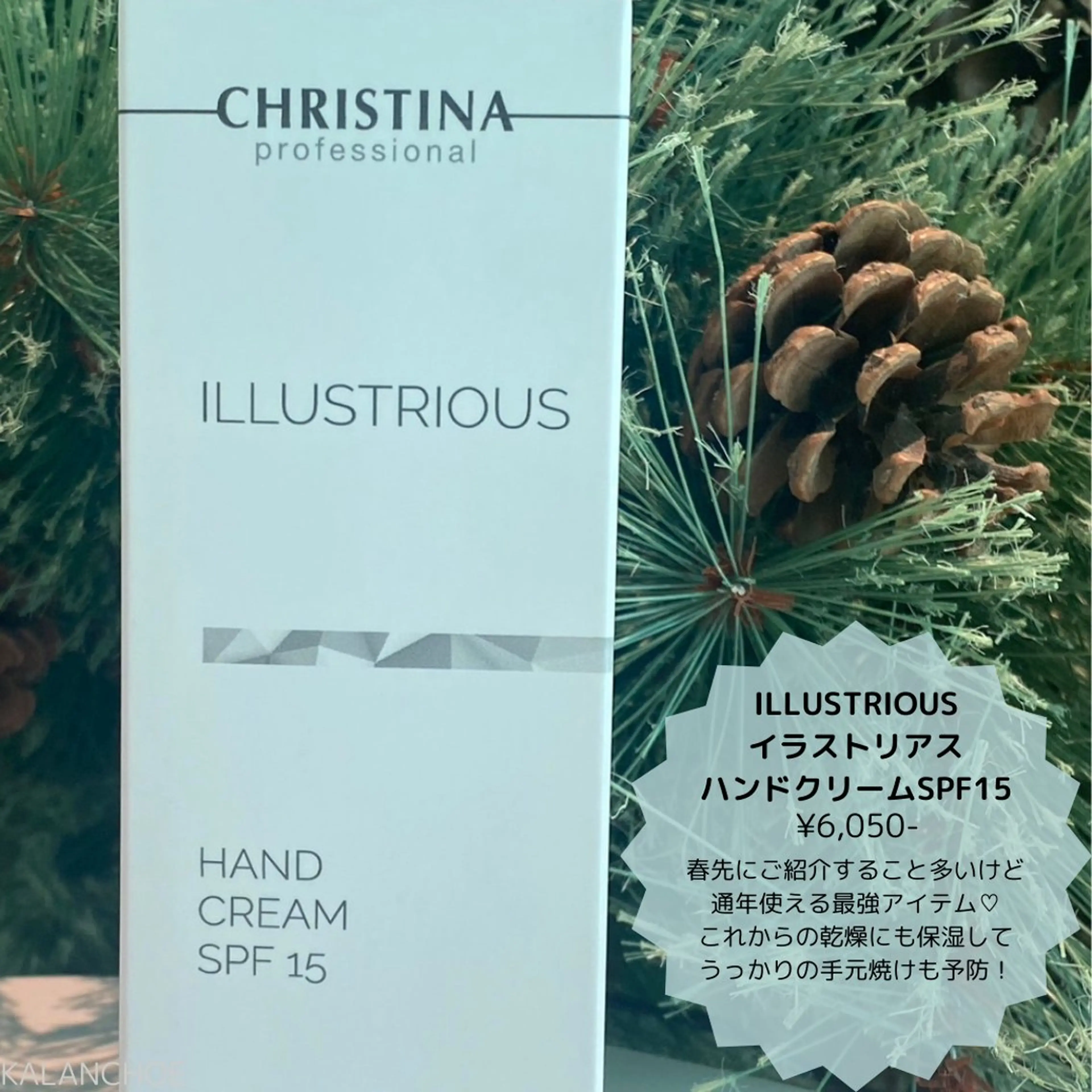 肌質改善 KALANCHOEのエステ・リラクイメージ