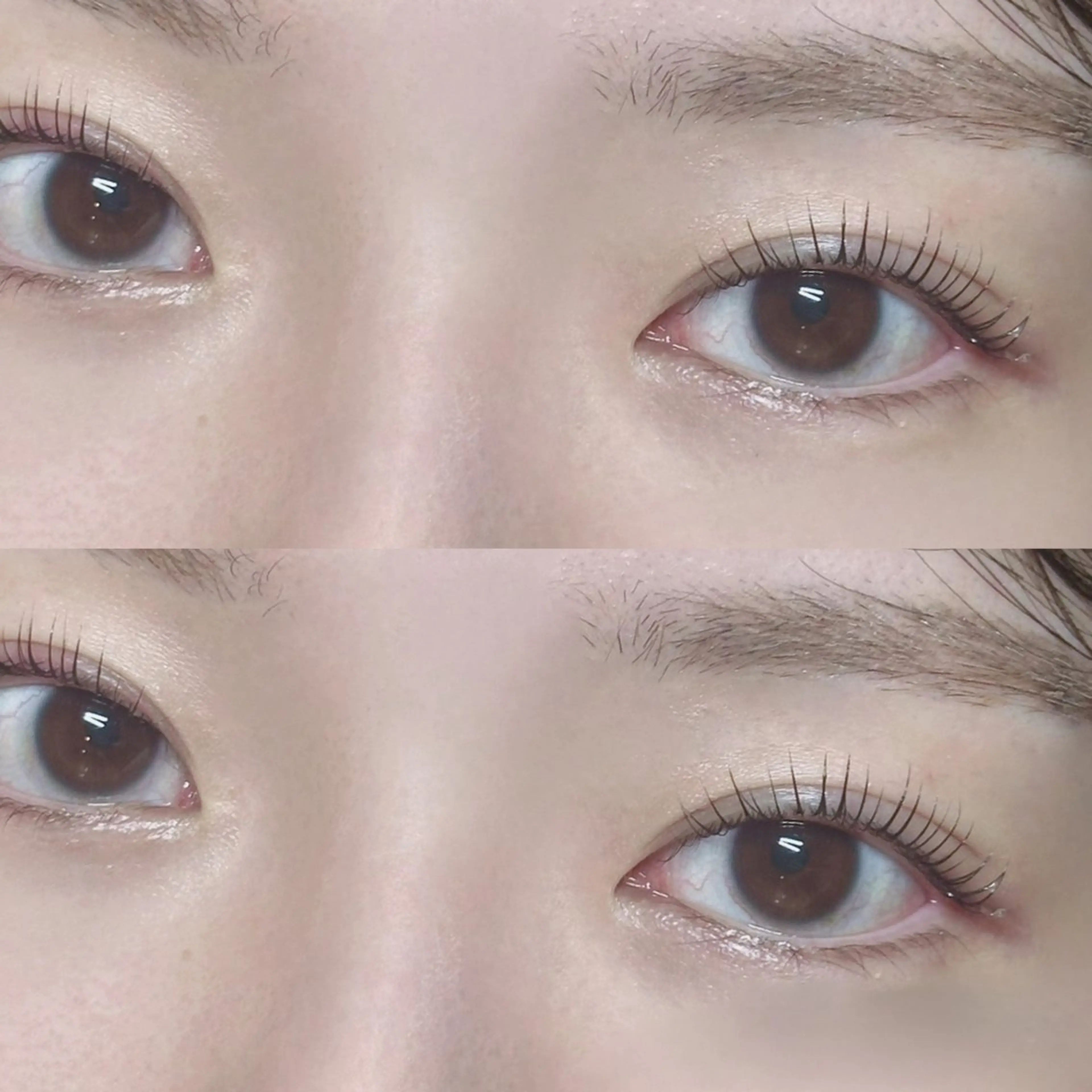 マツエク・マツパ Reina🎀/ 韓国まつげ🫧/梅田のマツエク・マツパデザイン
