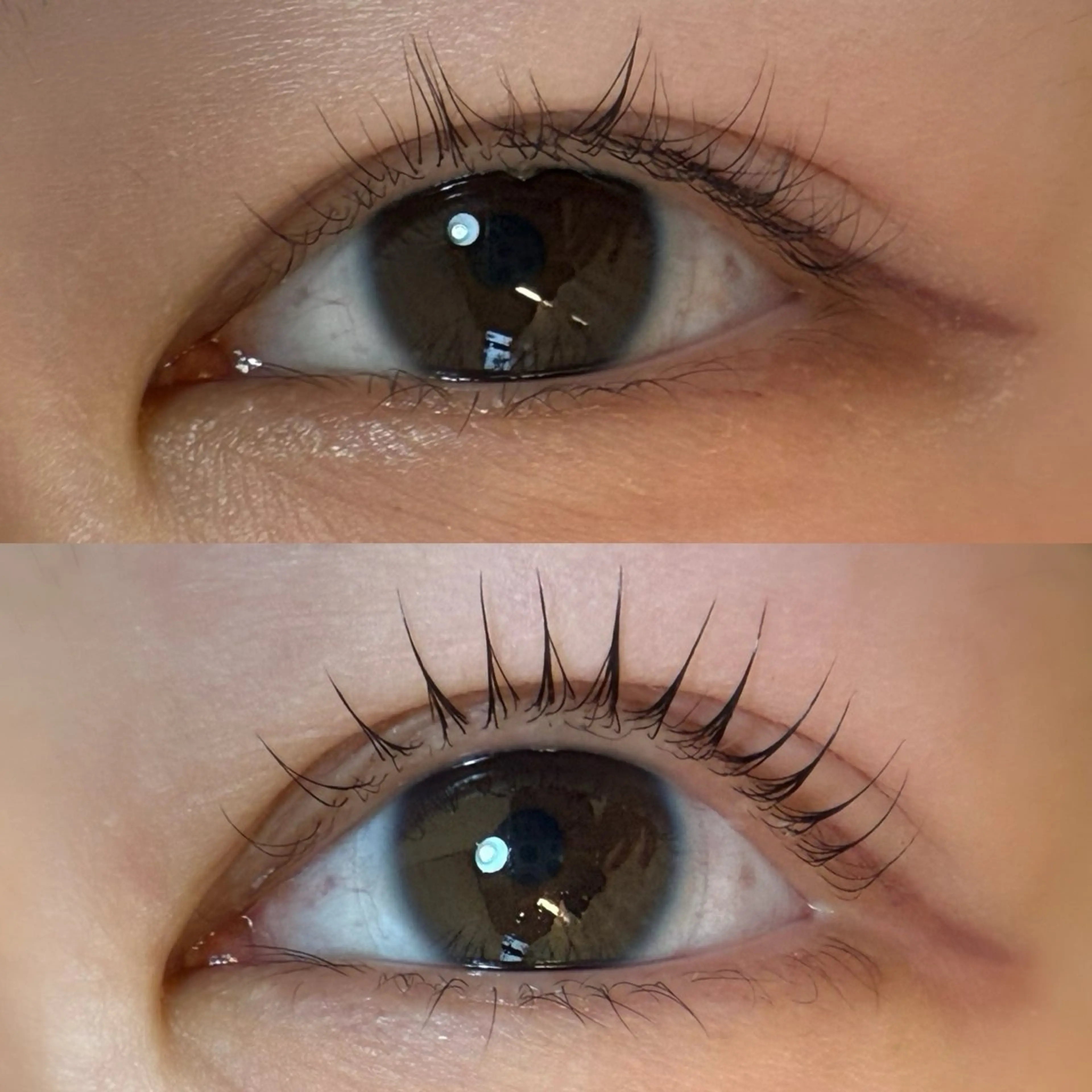 ぱっちり立ち上げデザイン🧡ラッシュリフト(まつ毛パーマ)🫧の写真