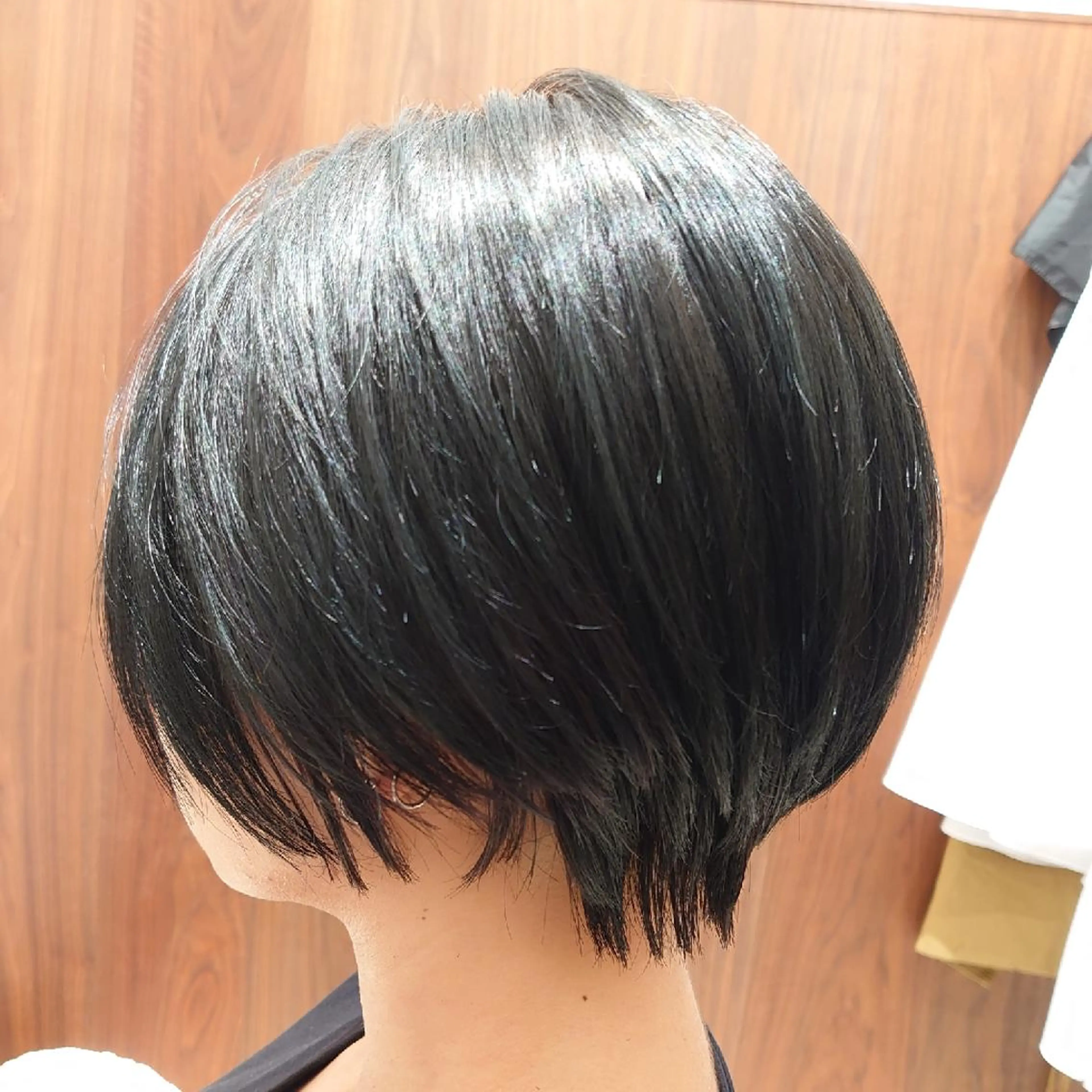 ショート カラー 🐱higajo🐱 比嘉門(ヒガジョウ)のヘアスタイル
