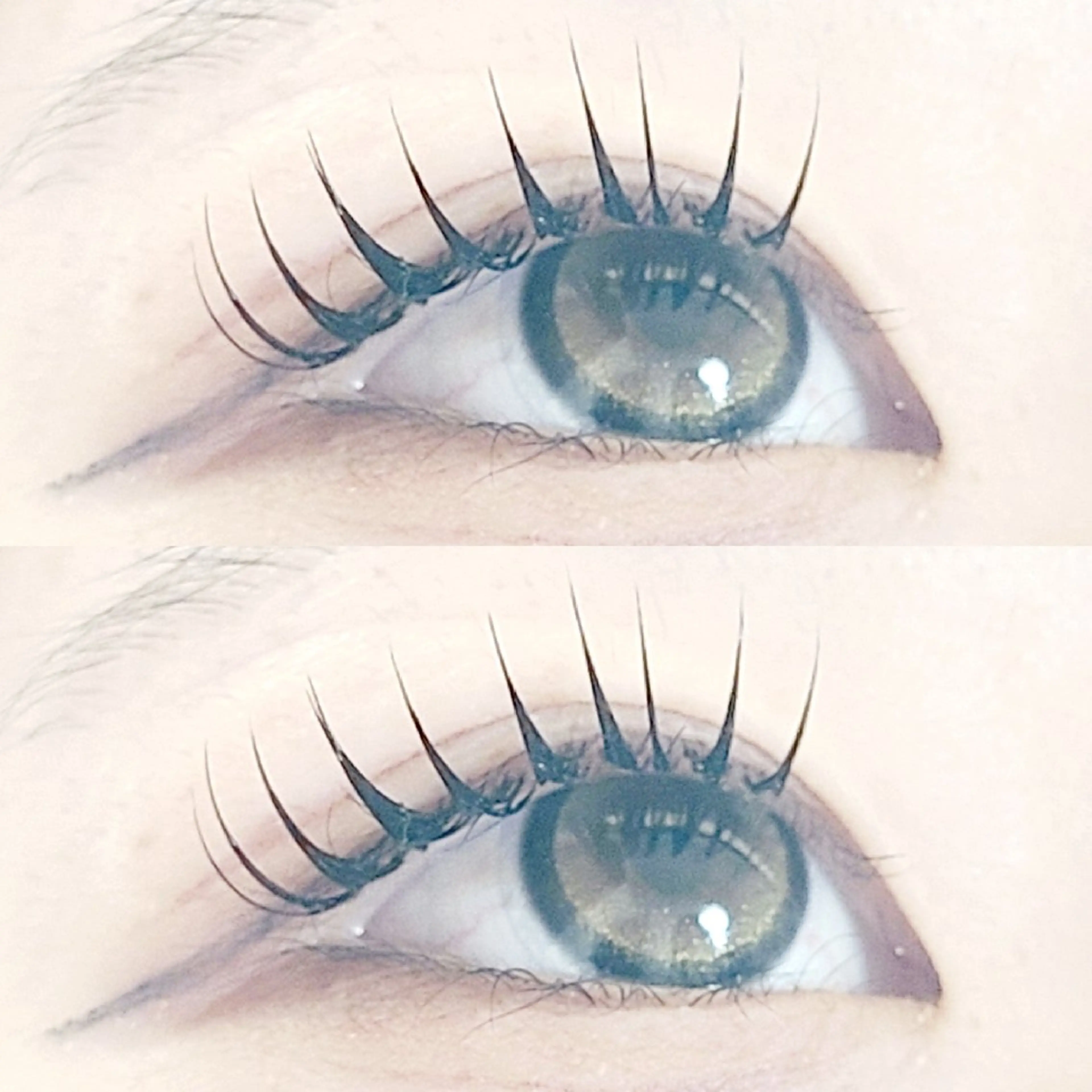 マツエク・マツパ 束感まつ毛 フラットラッシュ 韓国風マツエク マツエク セレビアイ/ ISHIIのマツエク・マツパデザイン