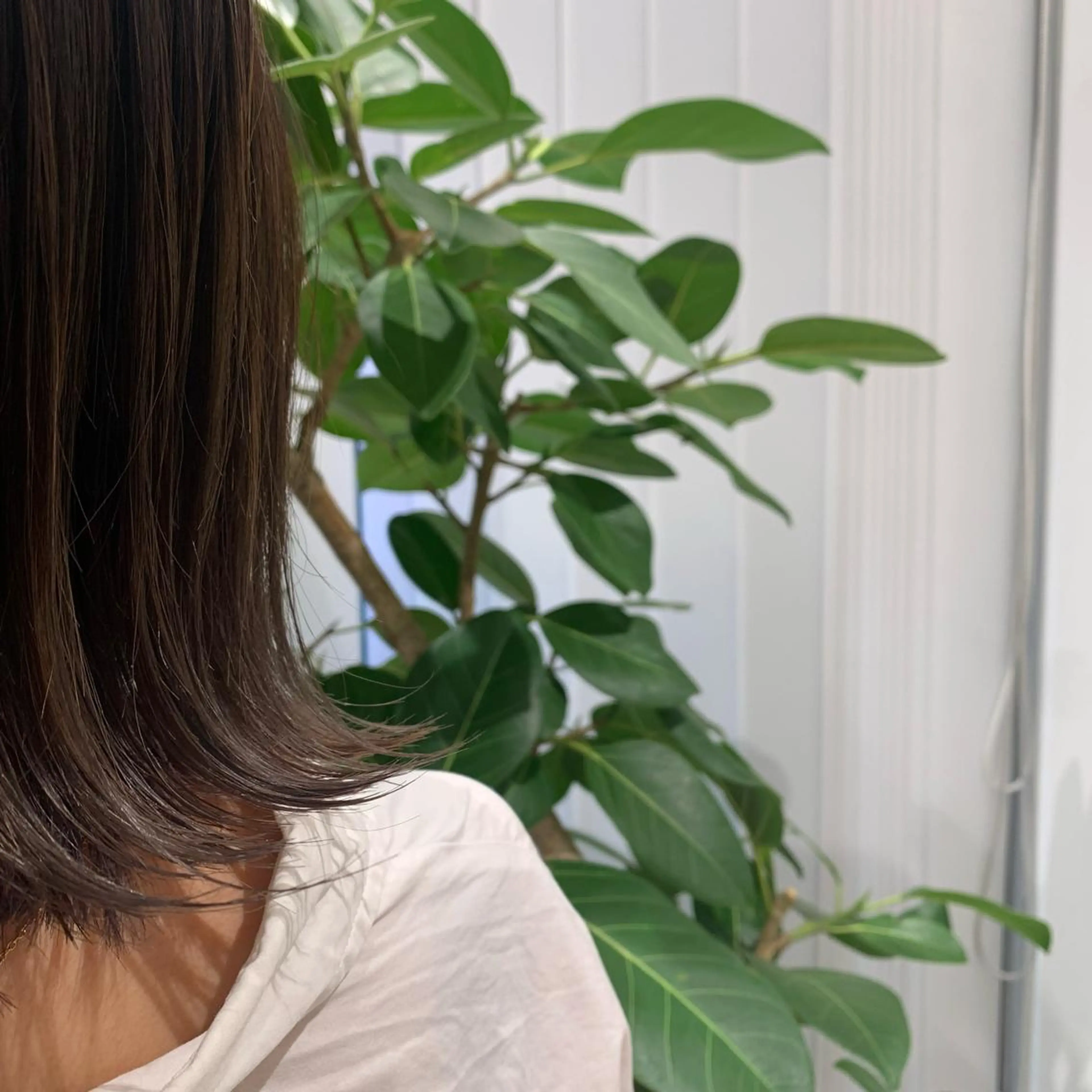 ショート カラー ヘアアレンジ 小白井 由美のヘアスタイル