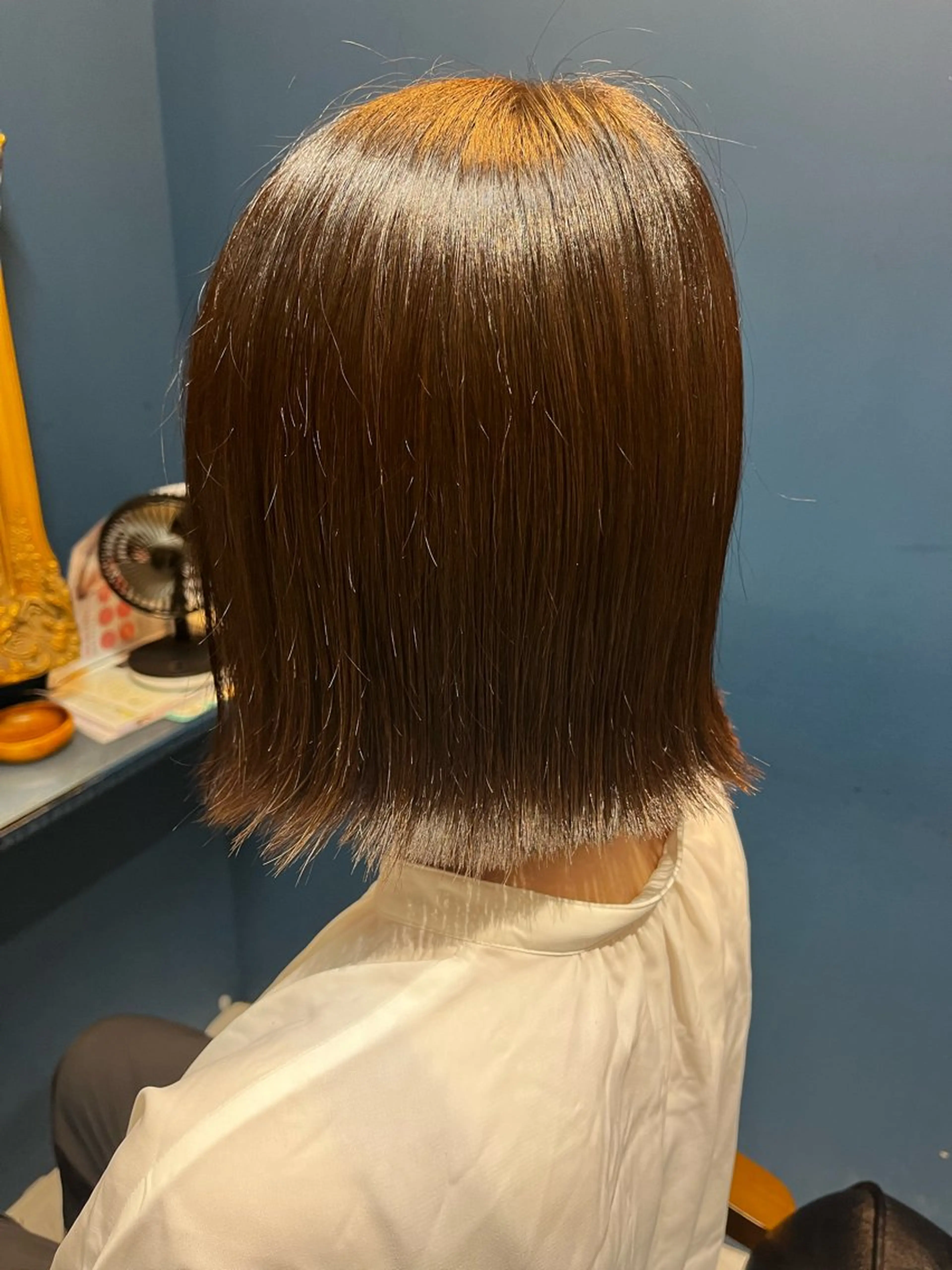 ミディアム 艶髪 藤原まいこのヘアスタイル