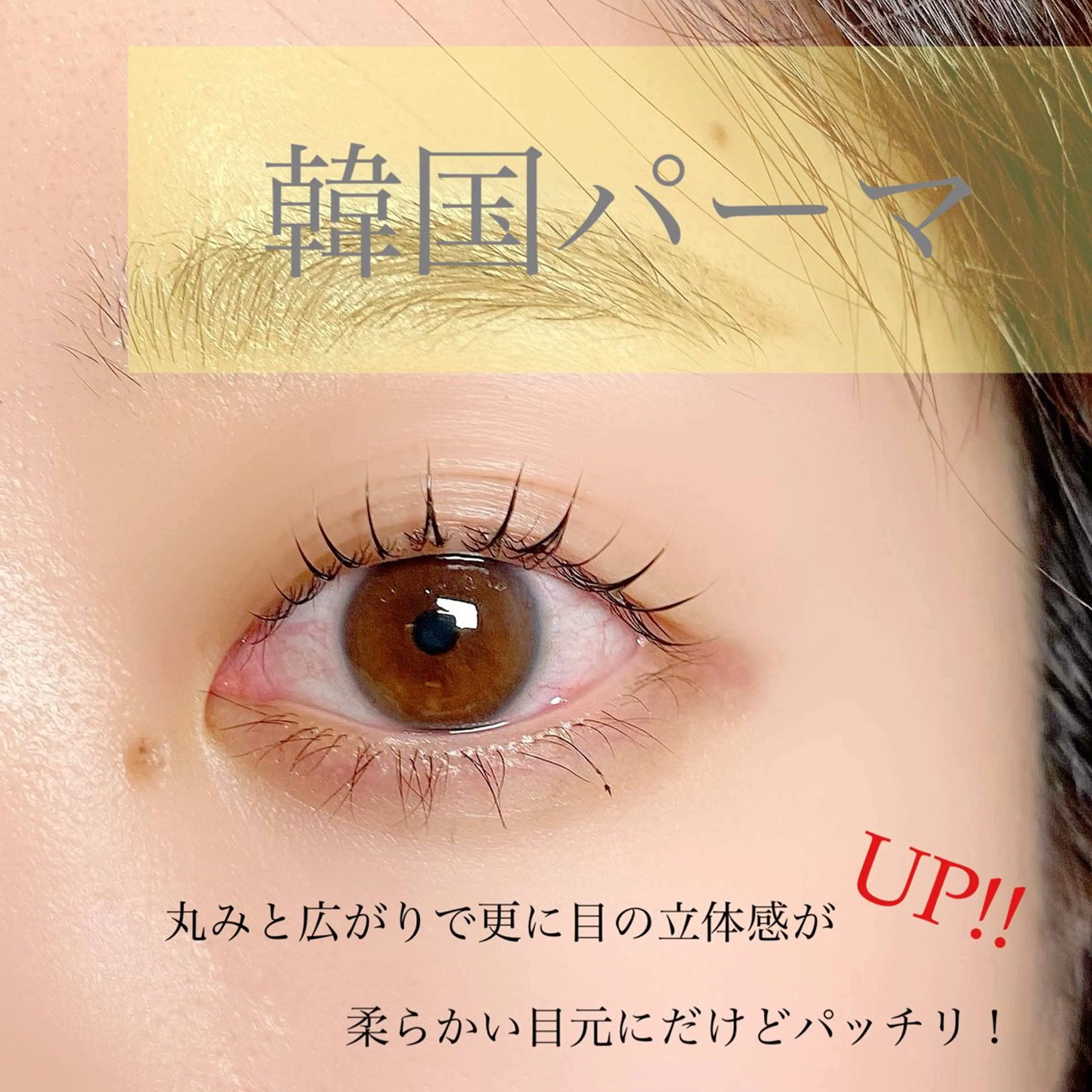 マツエク・マツパ 韓国風マツエク マツパ 束感パリジェンヌ上下 恵比寿ayakaのマツエク・マツパデザイン