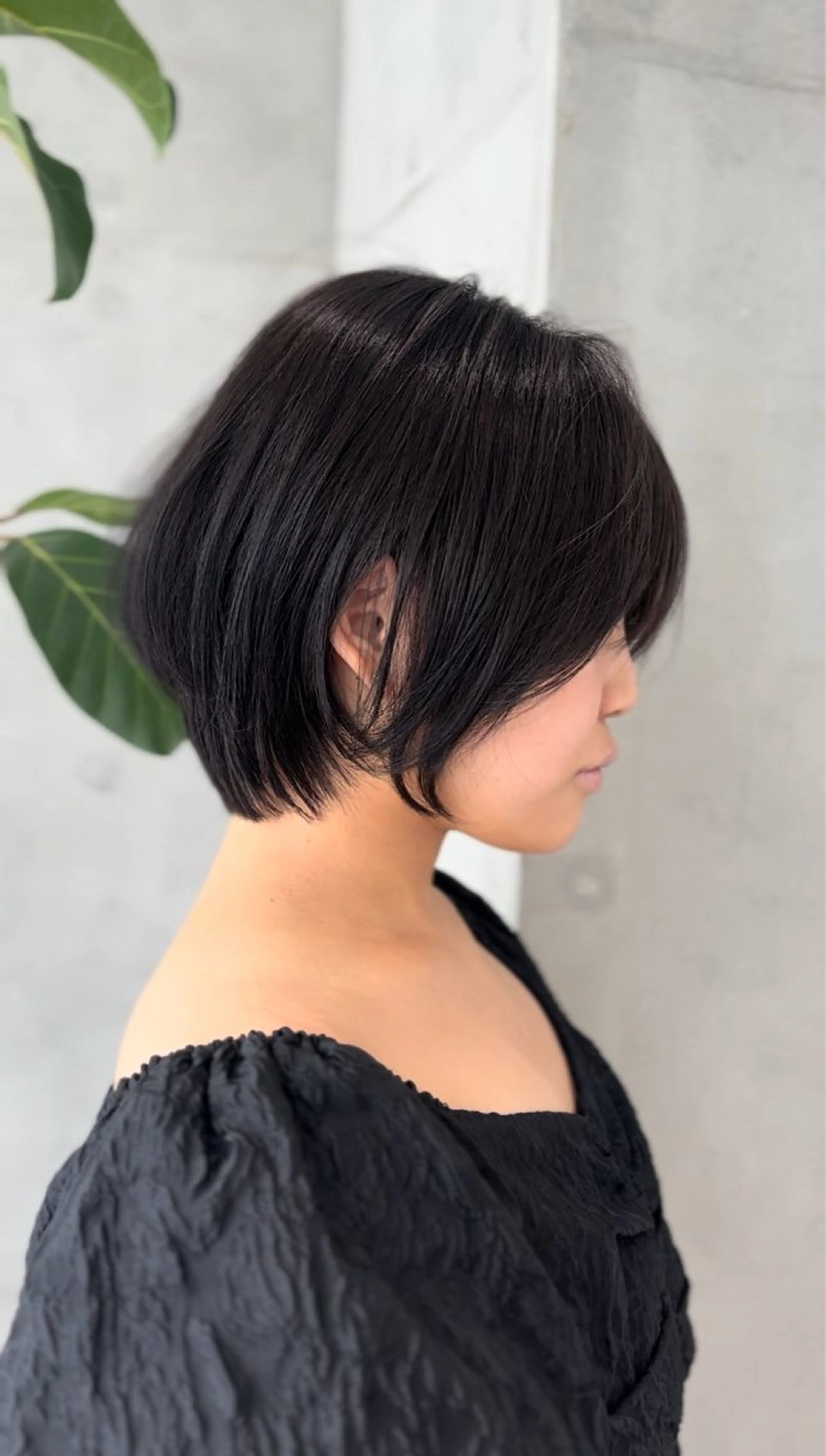 【4/16 19:30限定】カットの写真