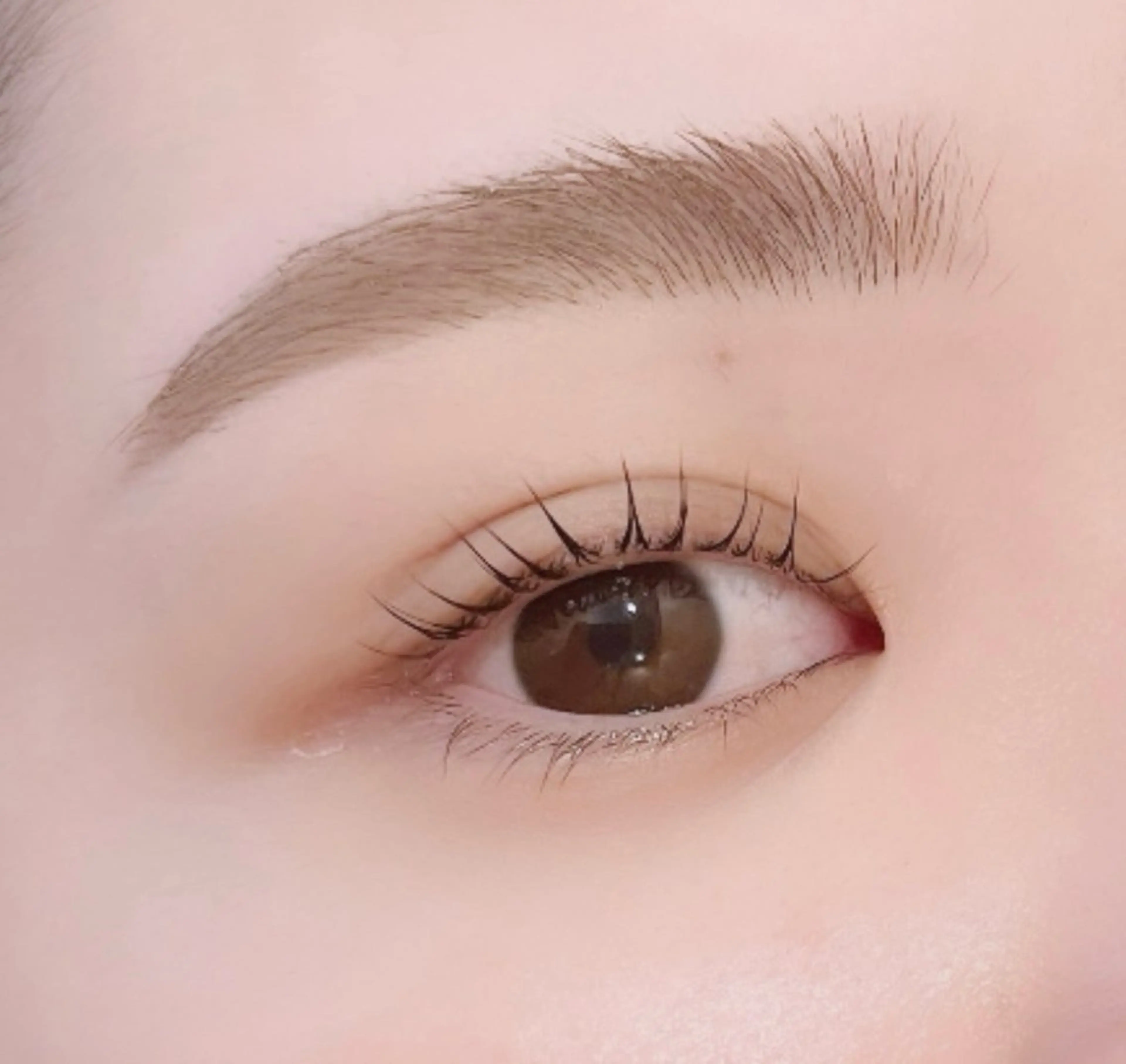 ✨️アイブロウ➕ラッシュリフト✨️束間コーティング付き👀🩵の写真