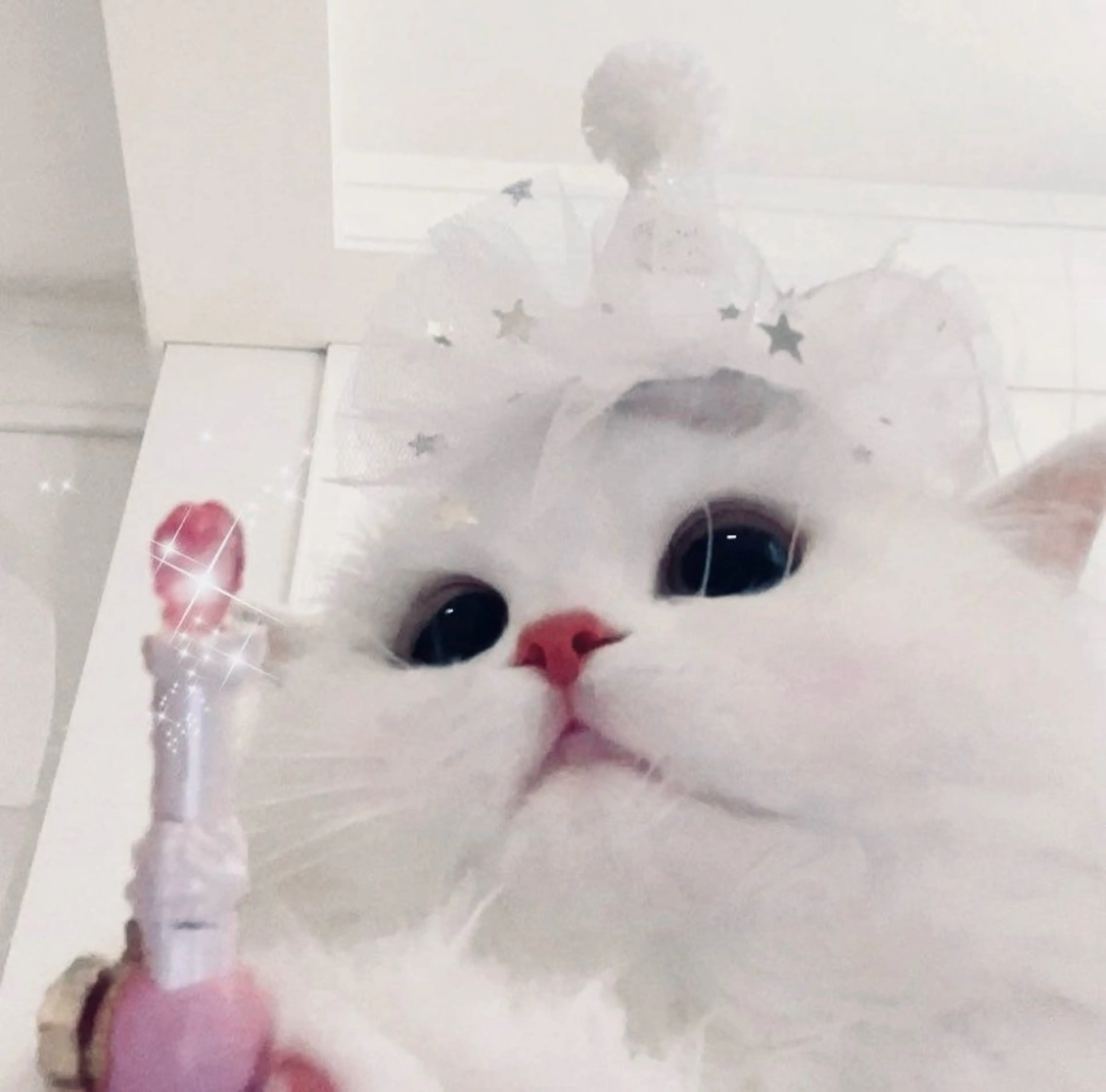 マツエク・マツパ 🎀eyelist. mizuki🐈‍⬛の眉毛・アイブロウイメージ